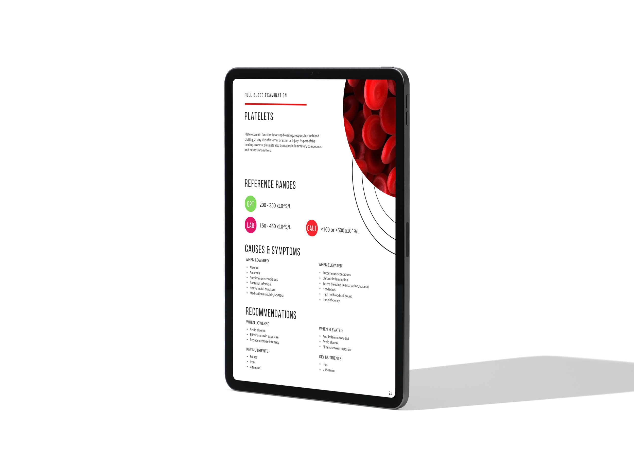 ipad-pro-mockup(2).png