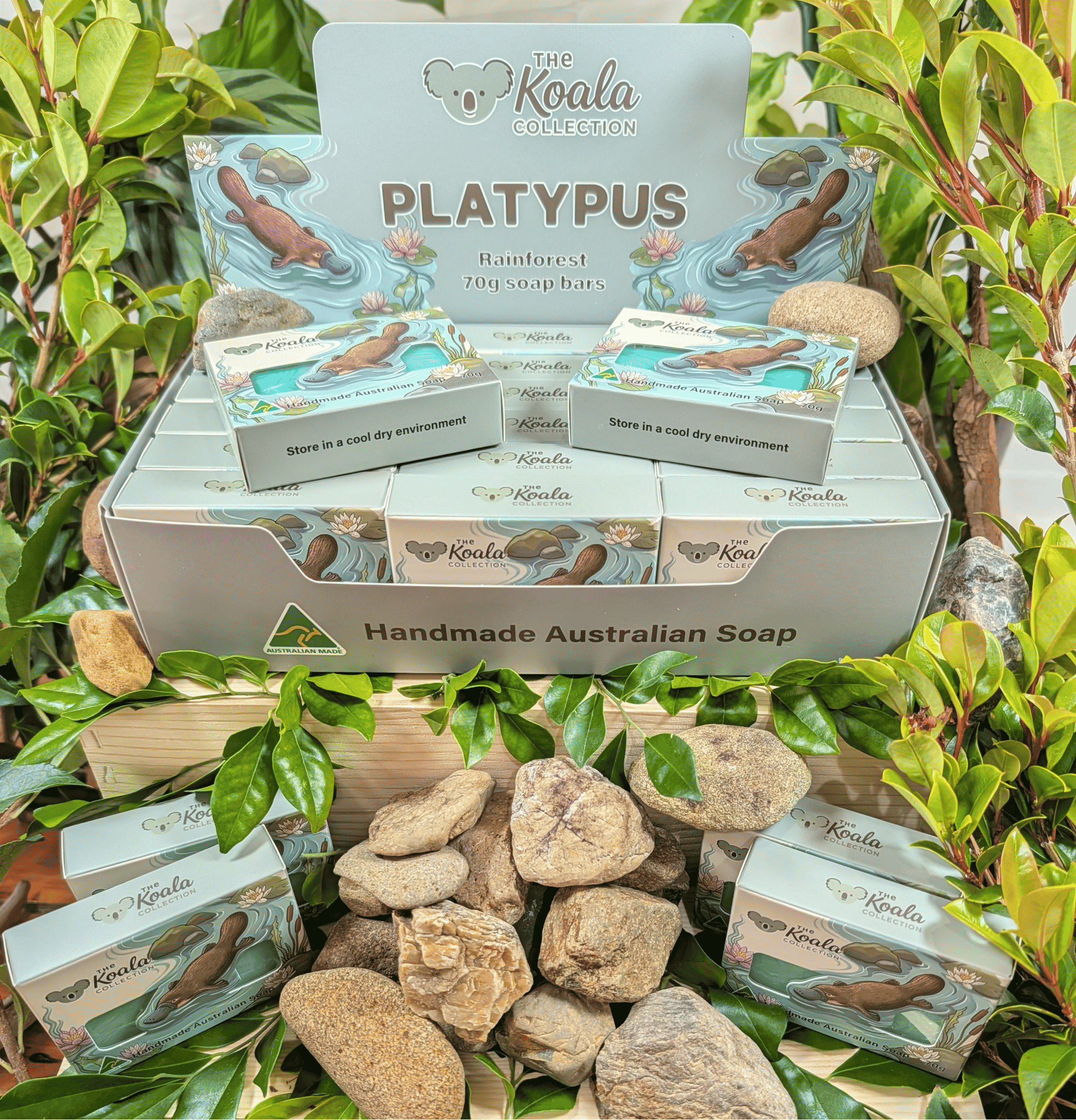 Platypus - Rainforest