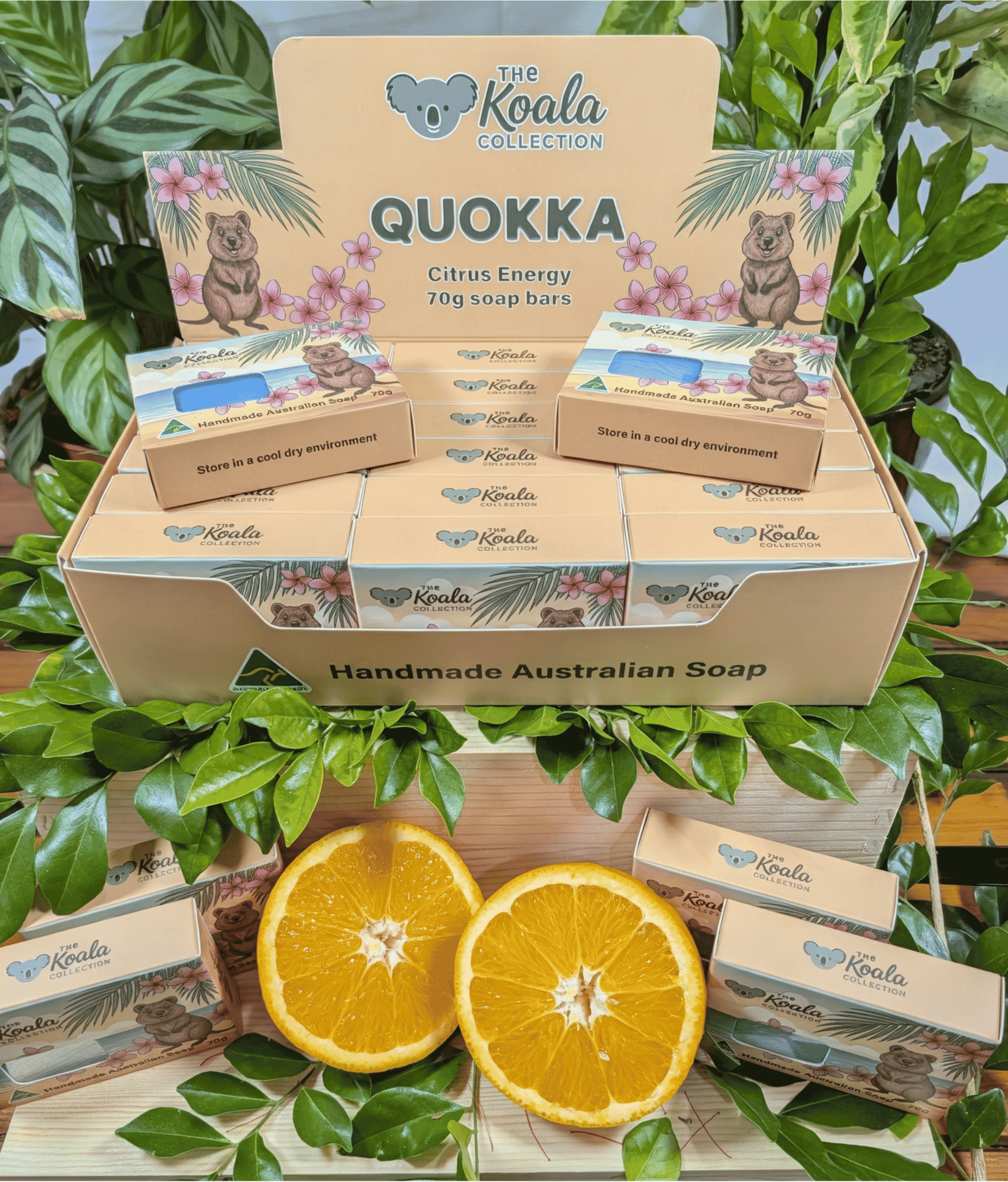 Quokka - Citrus Energy
