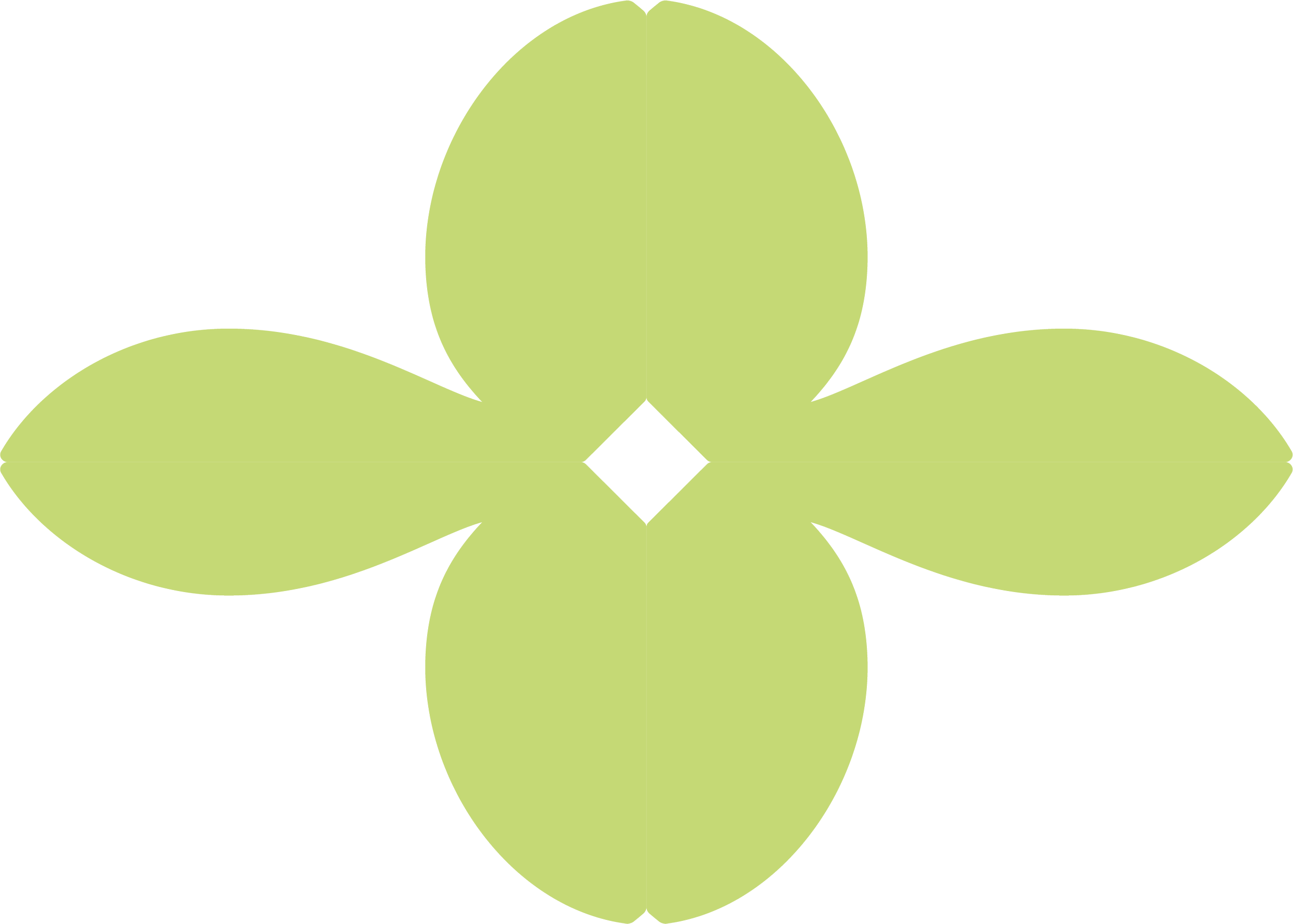 Grüne Blume mit vier Blütenblättern