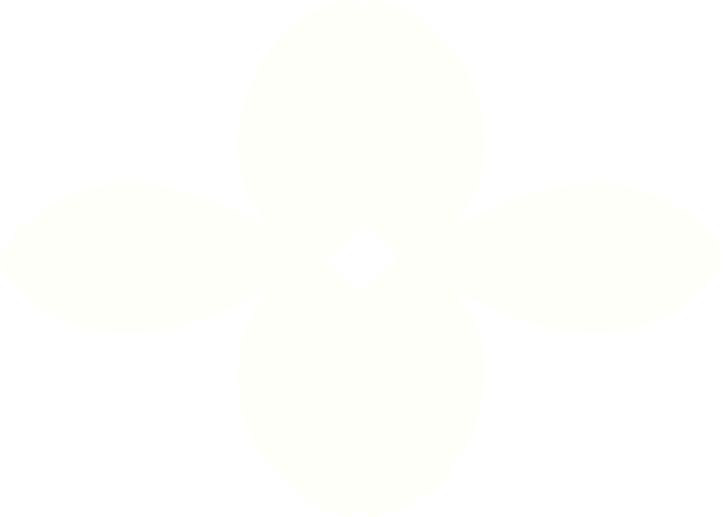 Weiße Blume mit vier Blütenblättern