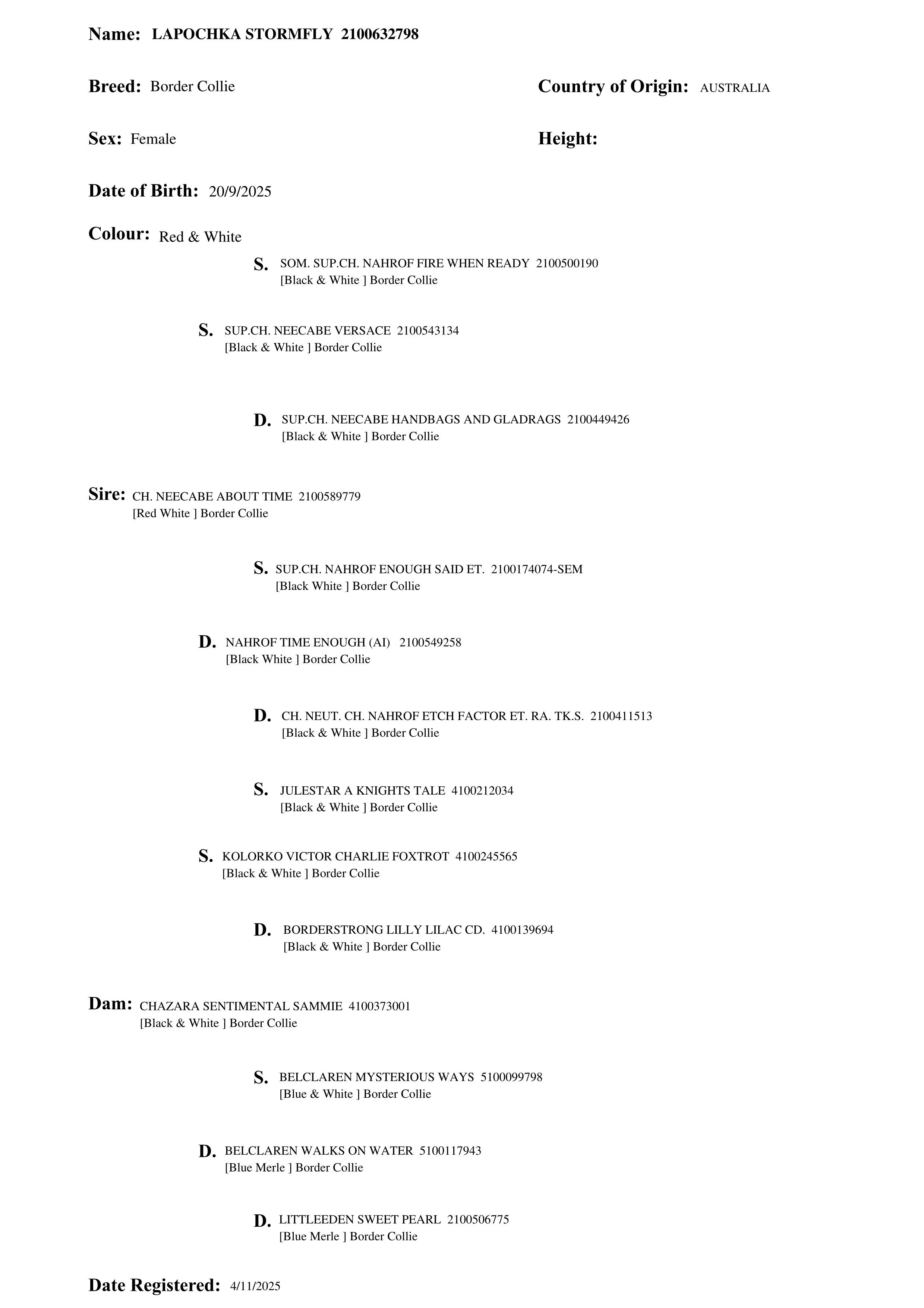 Pedigree of Lapochka Stormfly