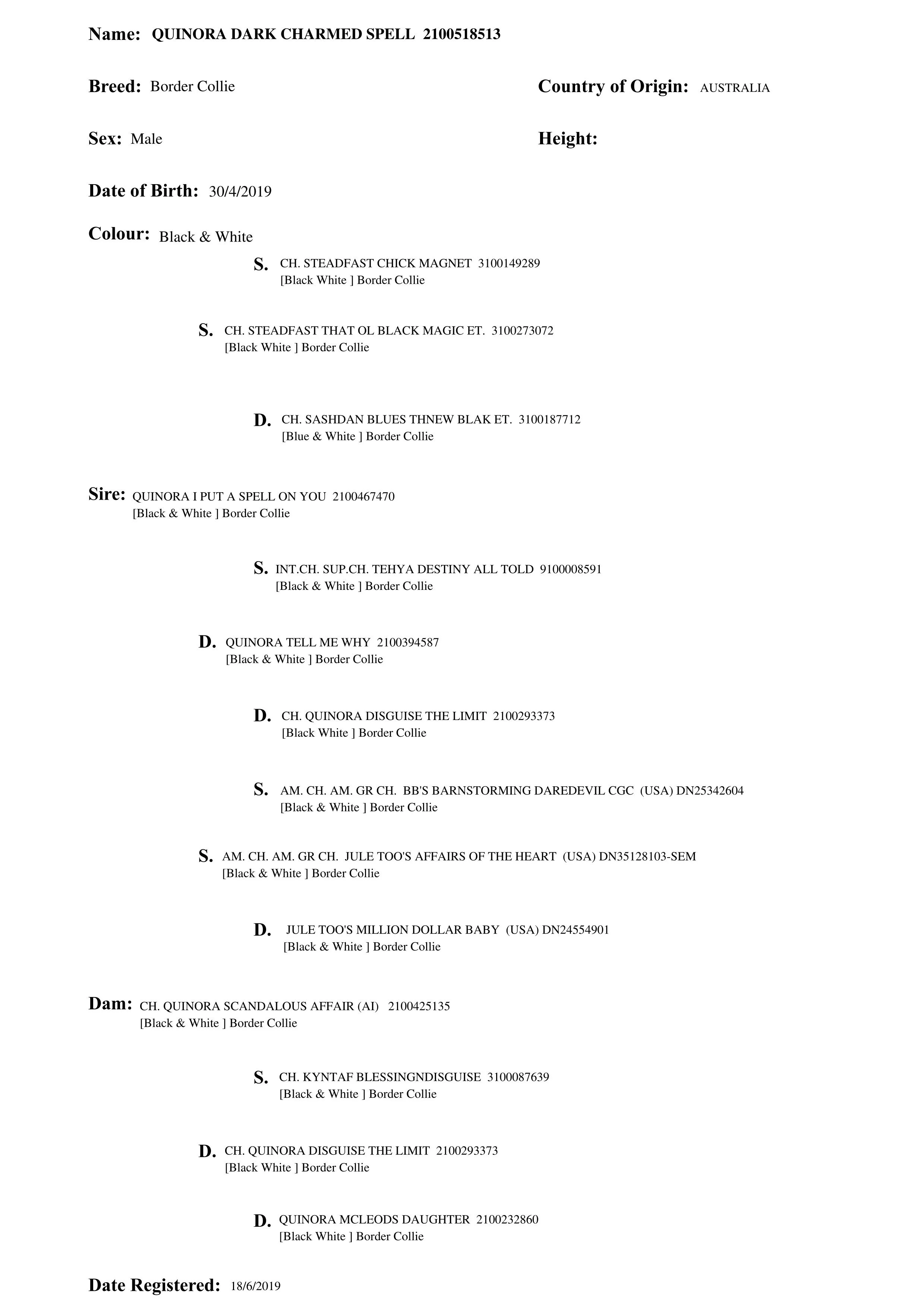 Pedigree of Quinora Dark Charmed Spell