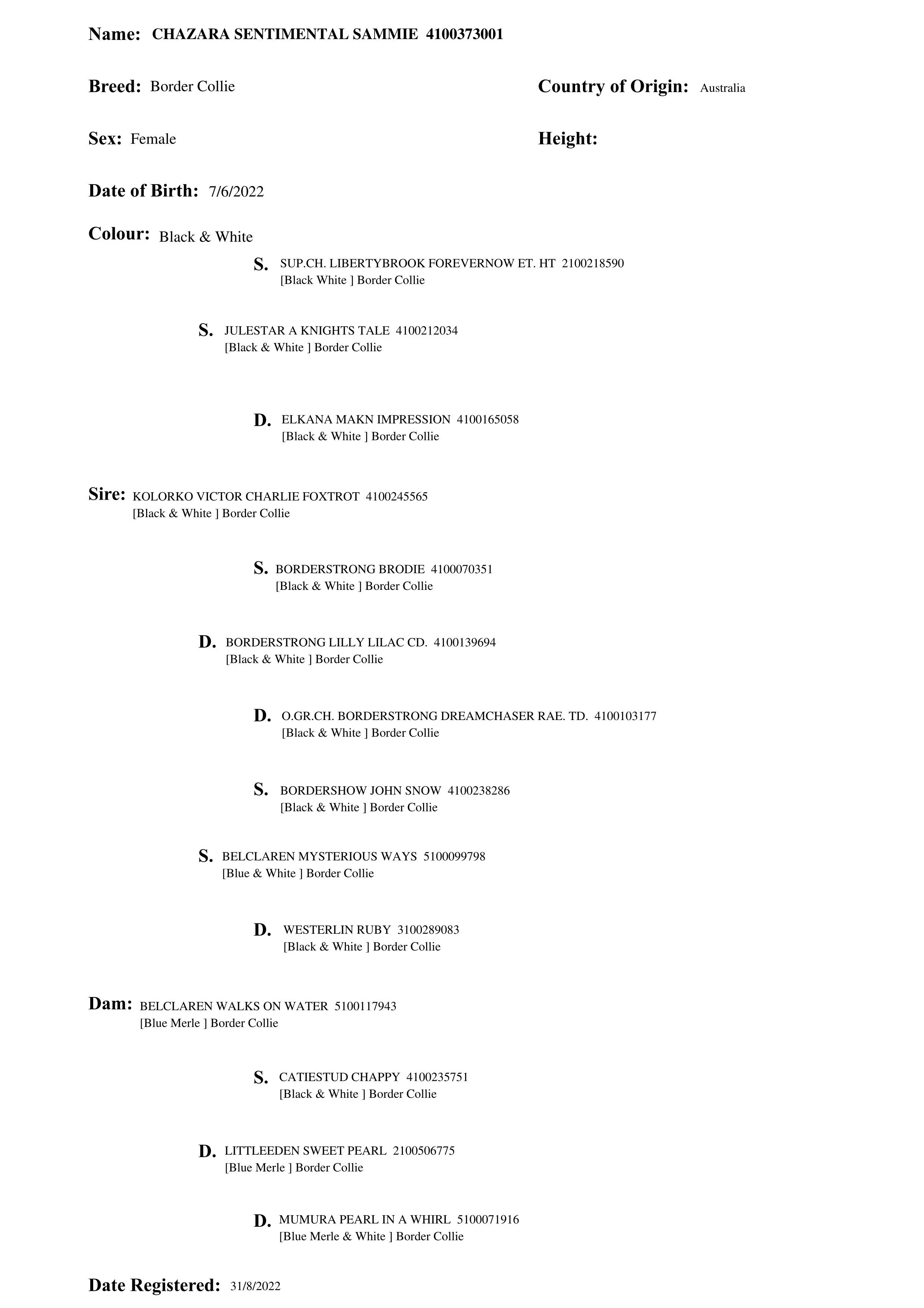 Pedigree of Chazara Sentimental Sammie
