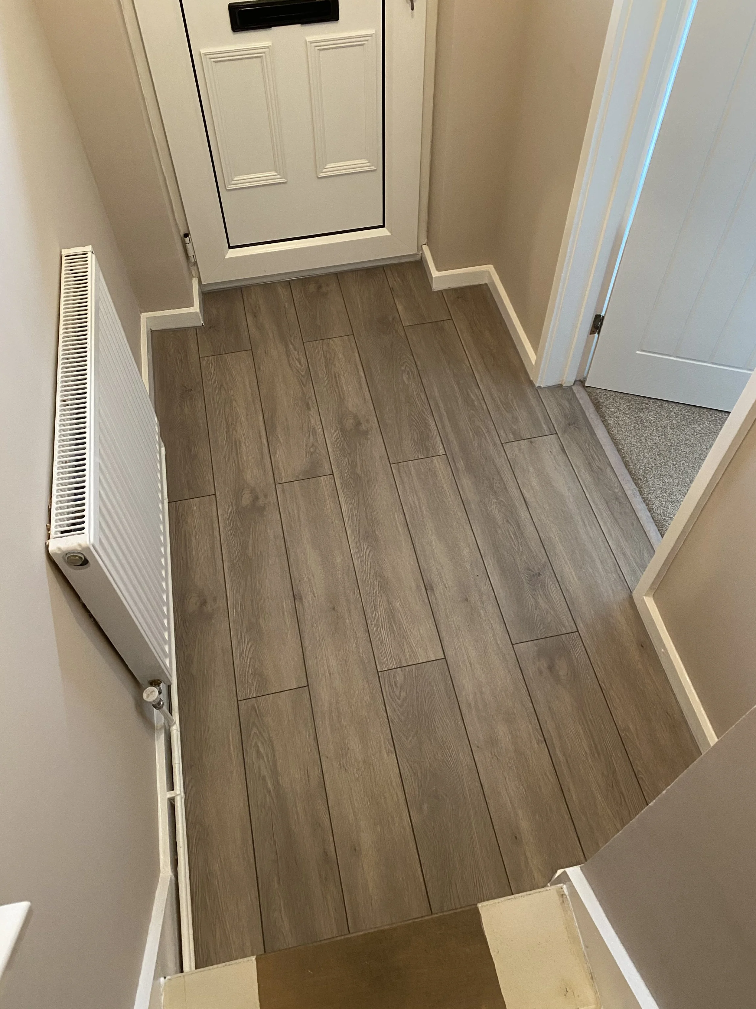 Interior hallway with wood-look flooring, white radiator, paneled doors, and a white front door.