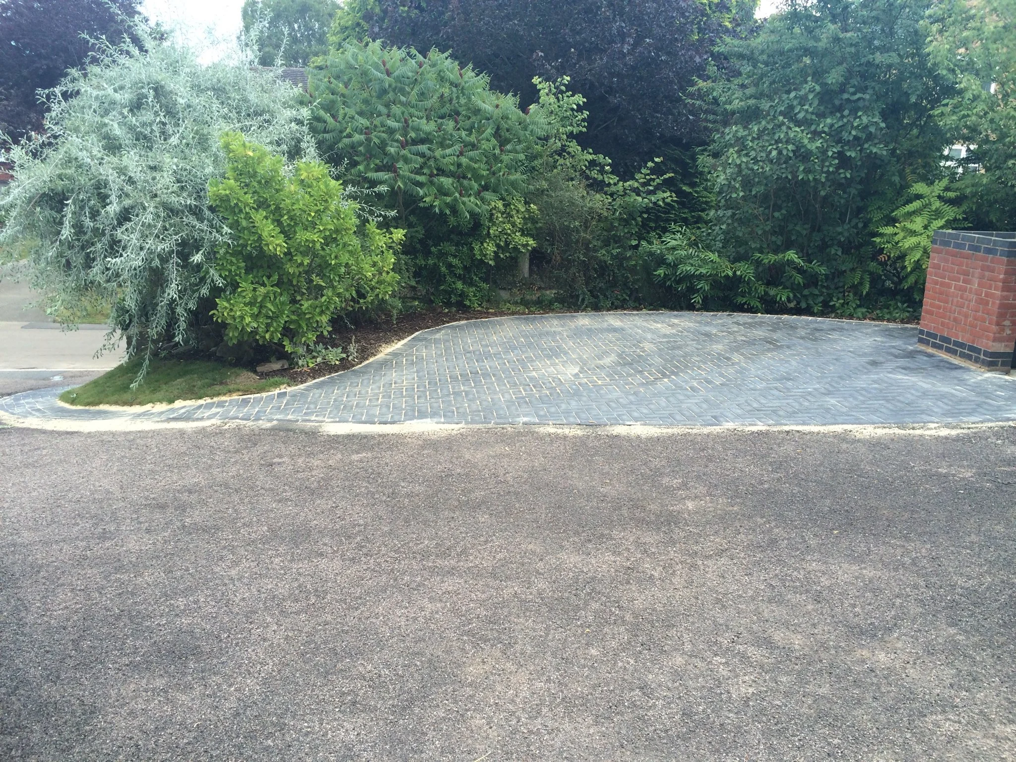 IMG_0077.jpeg
