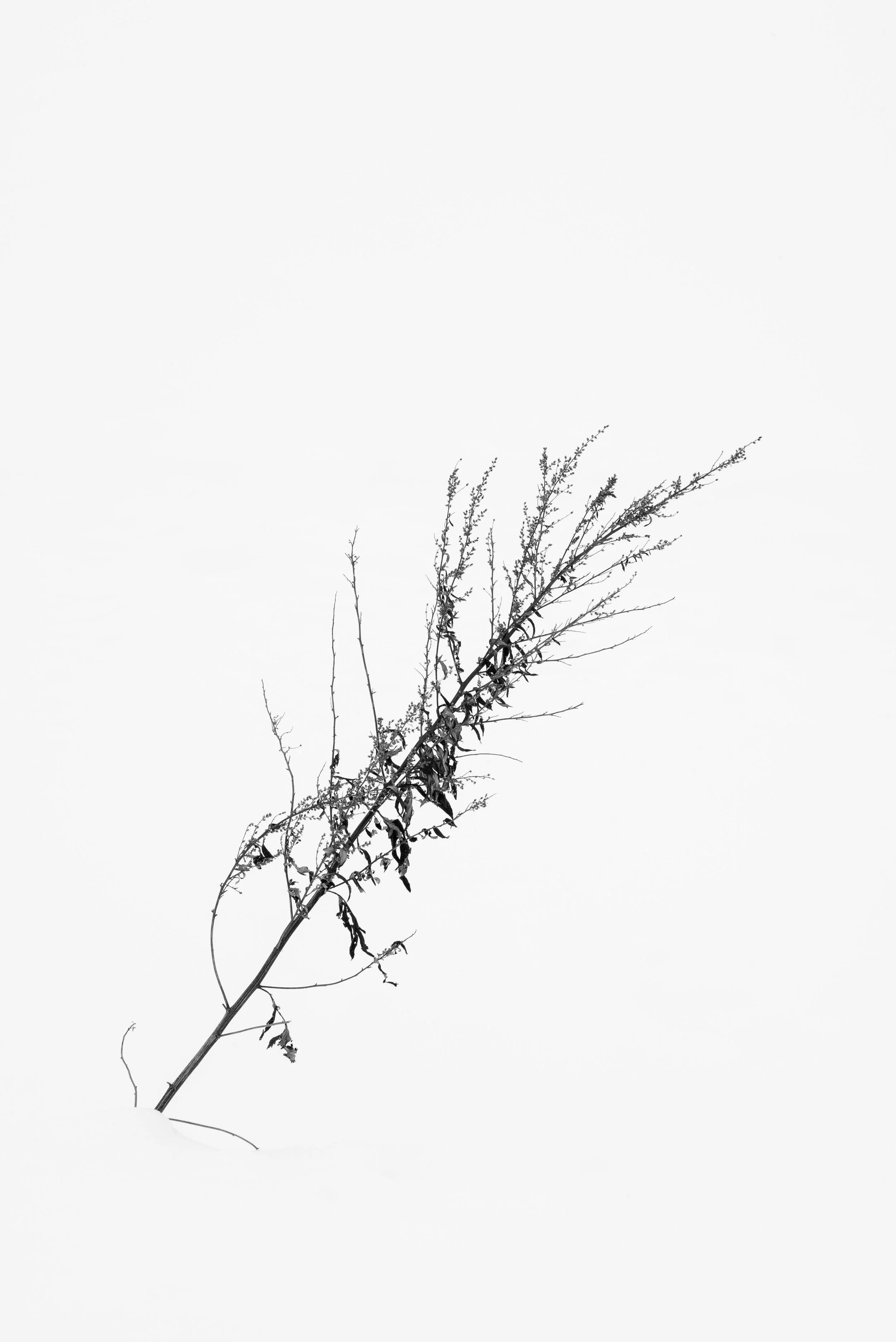 L1002413.jpg