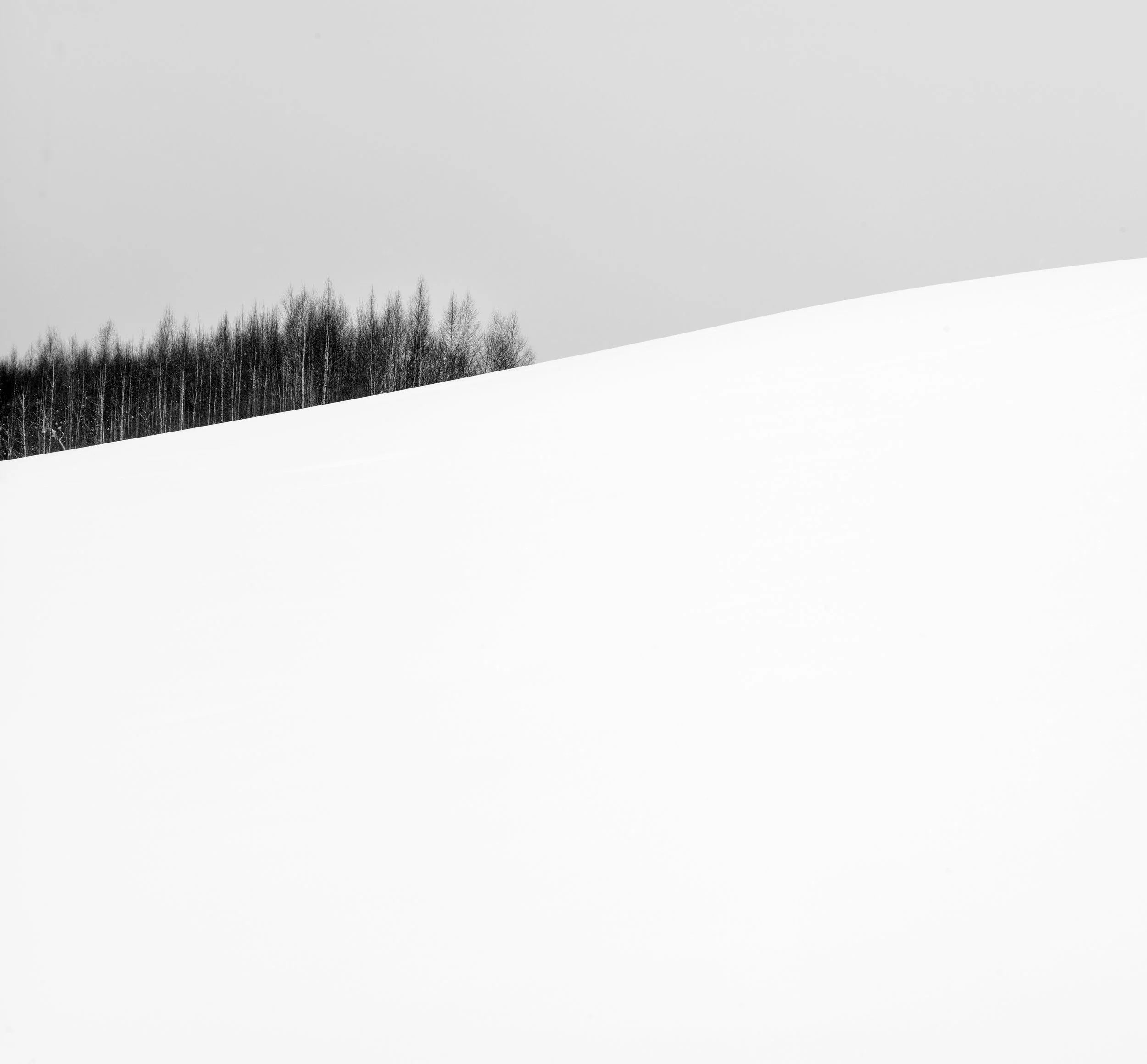 L1002392-Edit.jpg