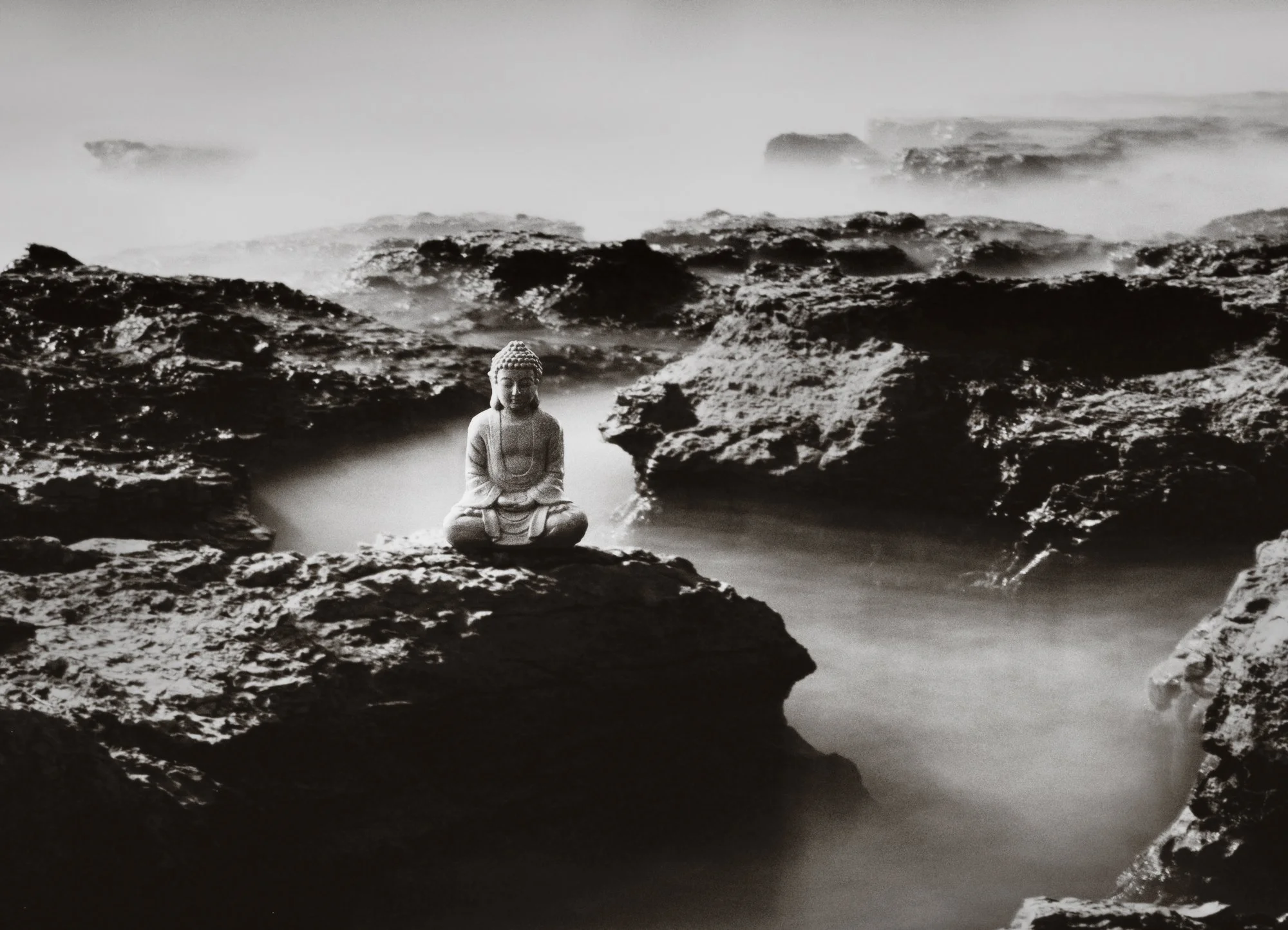 The streams of consciousness 