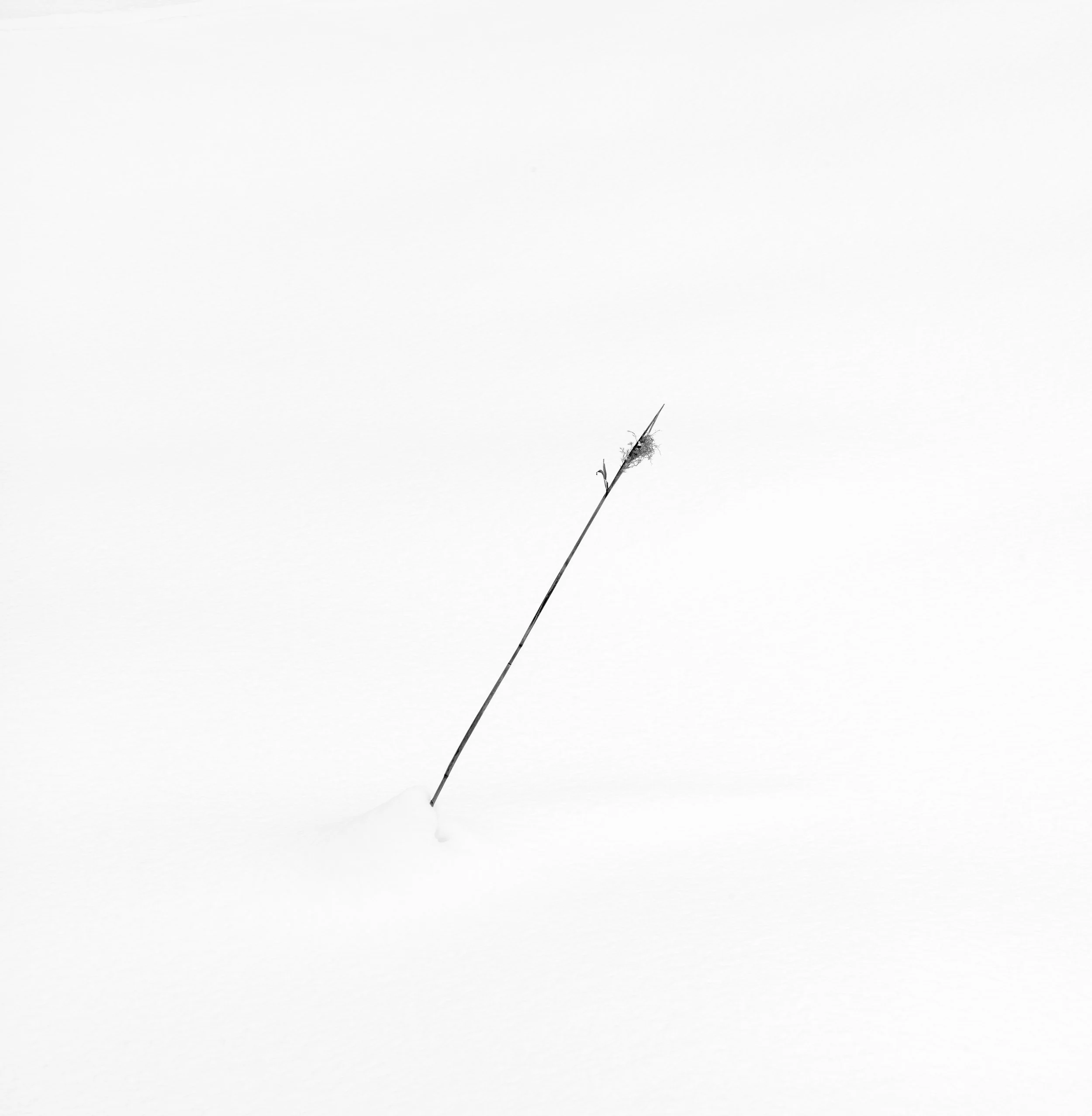 L1002518.jpg