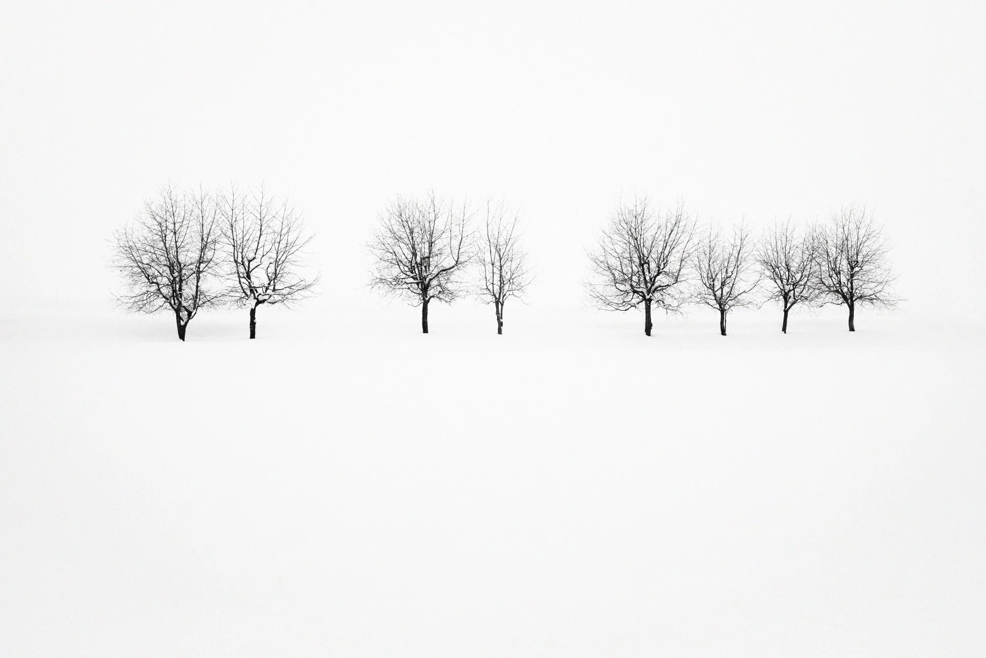 L1002473-Edit-Edit-Edit.jpg