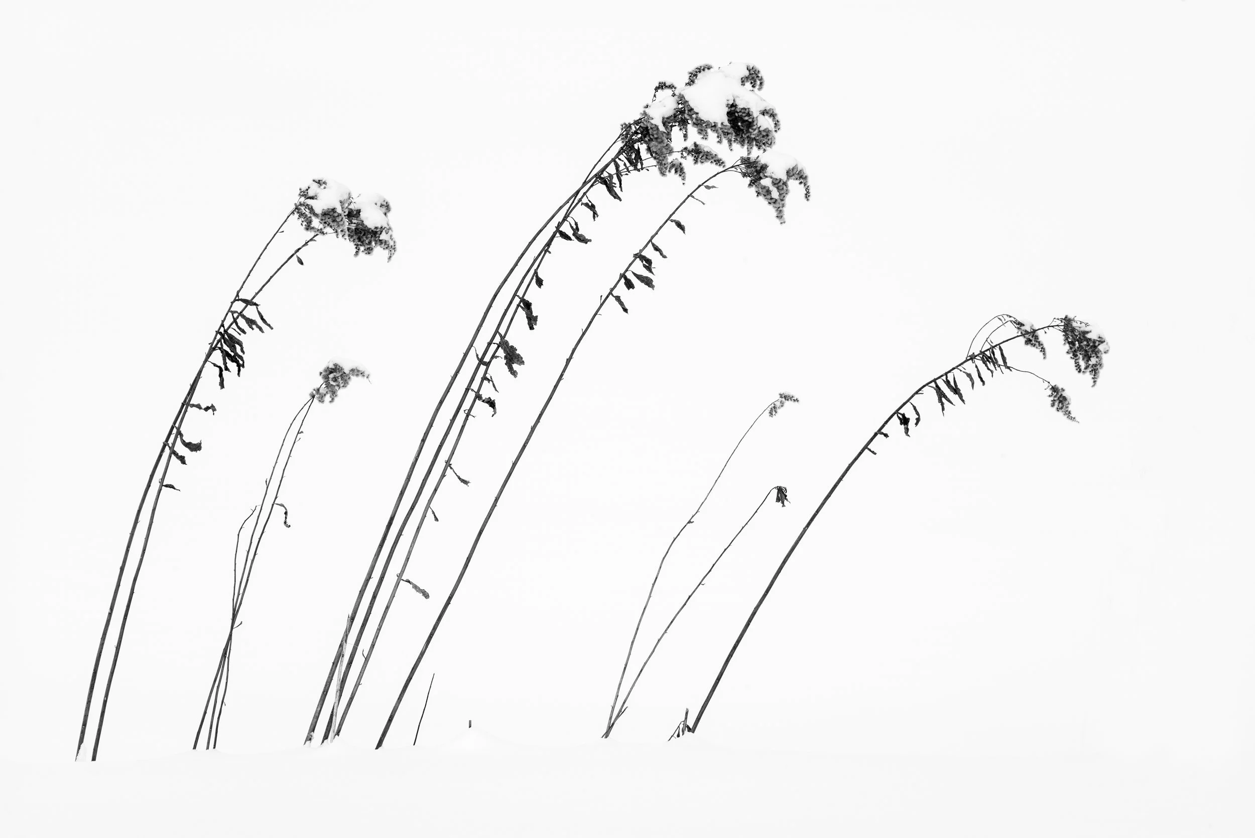 L1002252-Edit-Edit.jpg