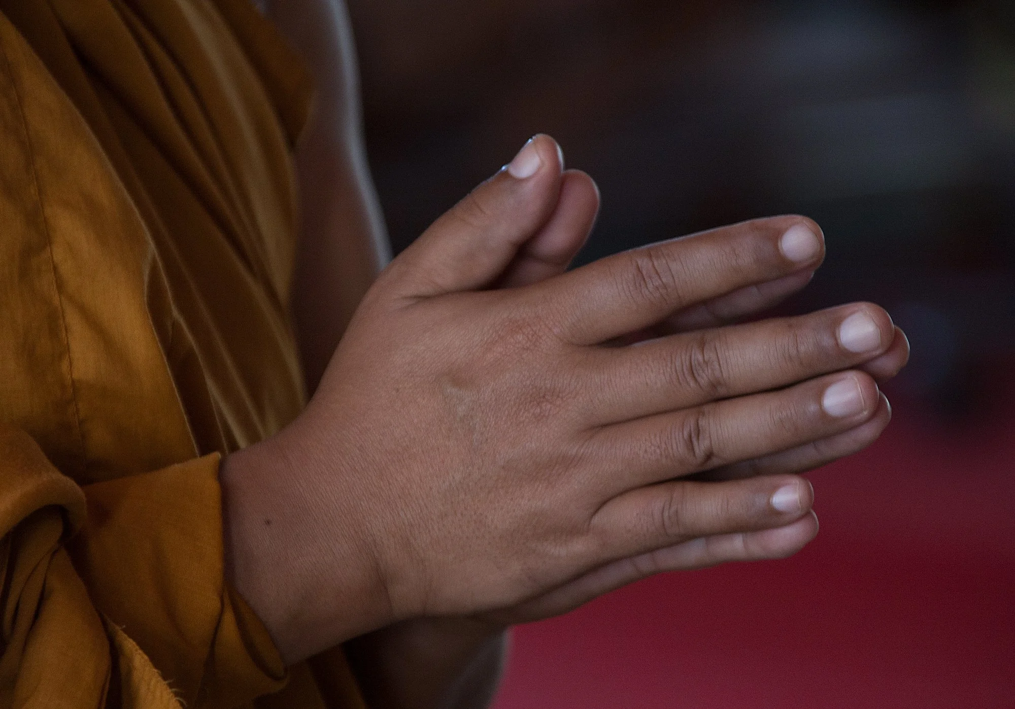 Hands - Thailand 