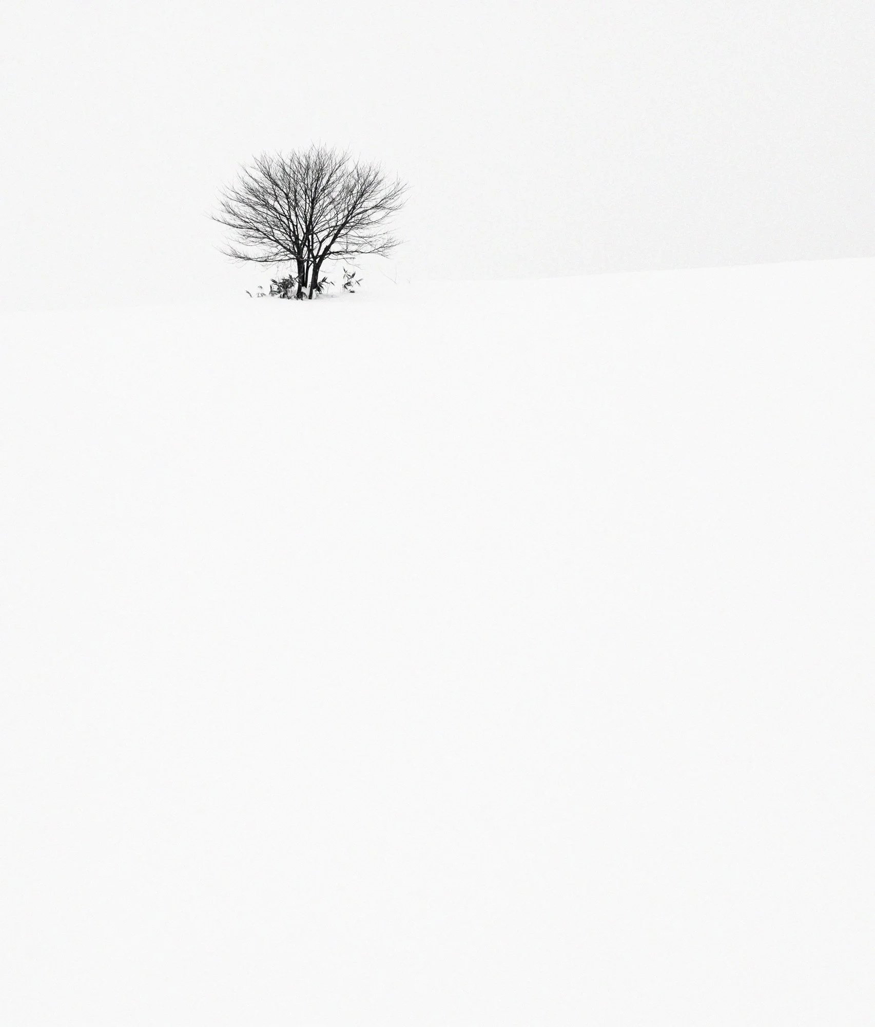 L1002386-Edit.jpg