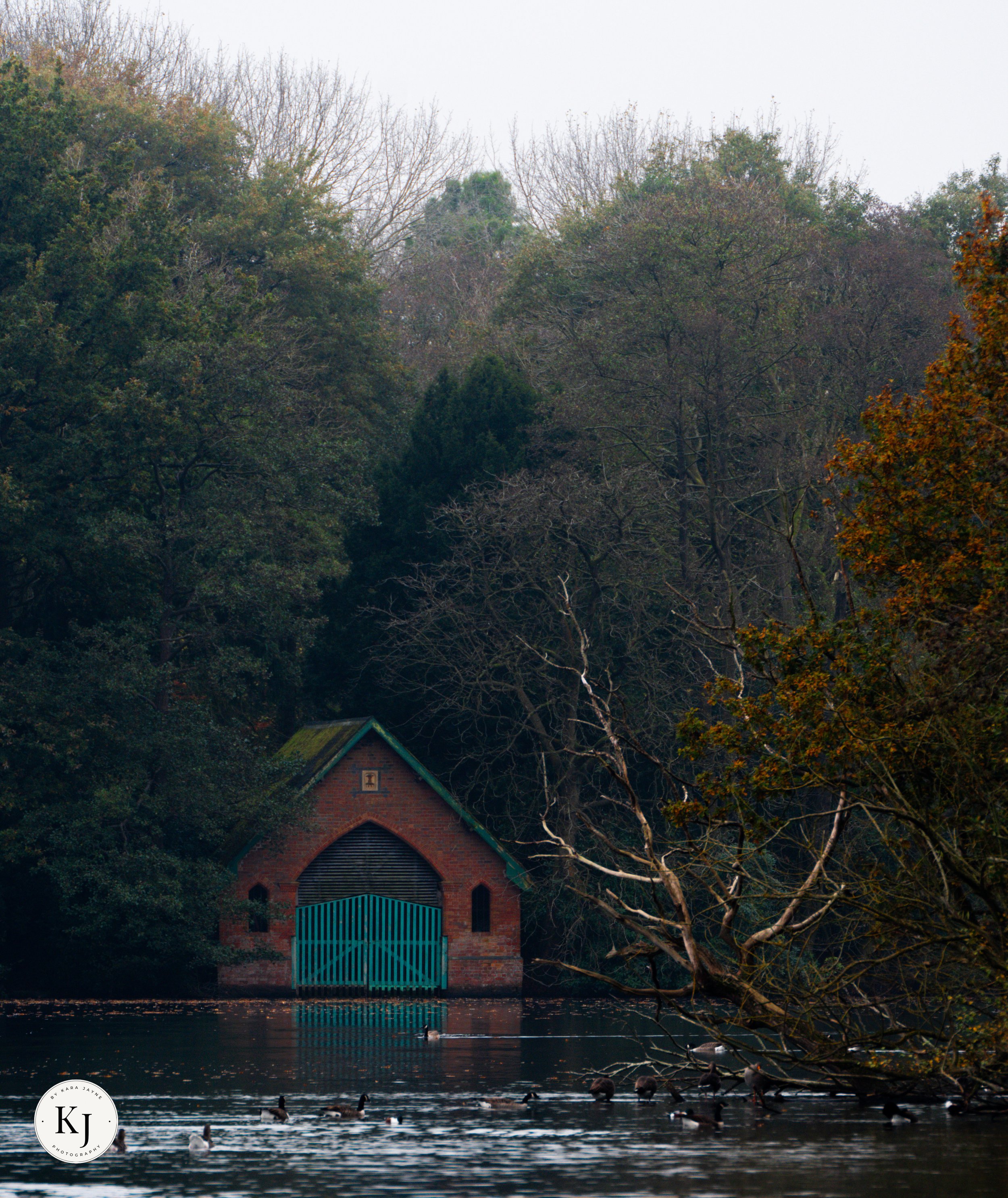 A lakeside scene with ducks swimming in the water, a brick building with a green gate, surrounded by trees with autumn foliage and some leafless trees in the background.