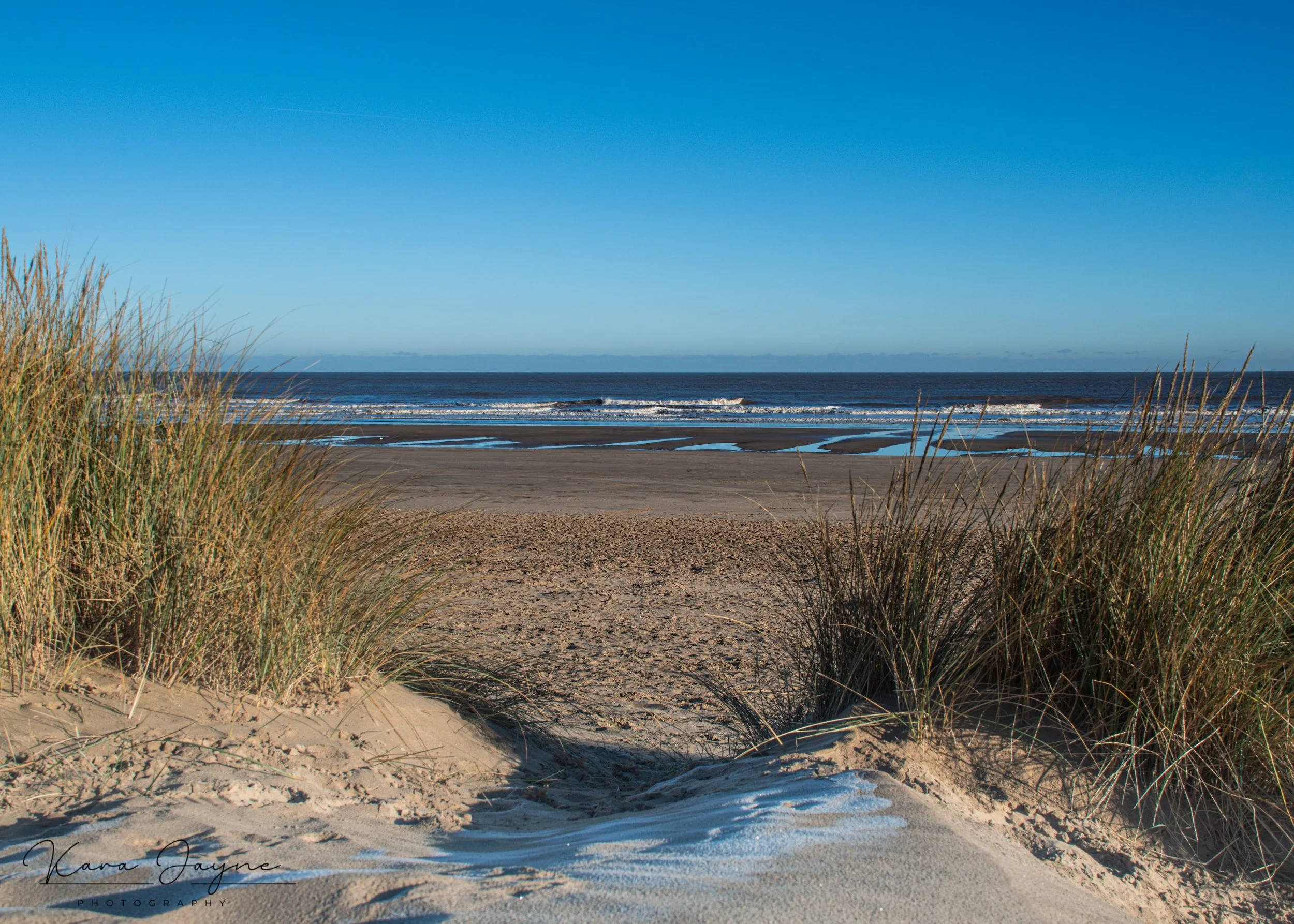 A sandy beach with dune grasses in the foreground, gentle waves in the ocean, and a clear blue sky with some distant clouds.