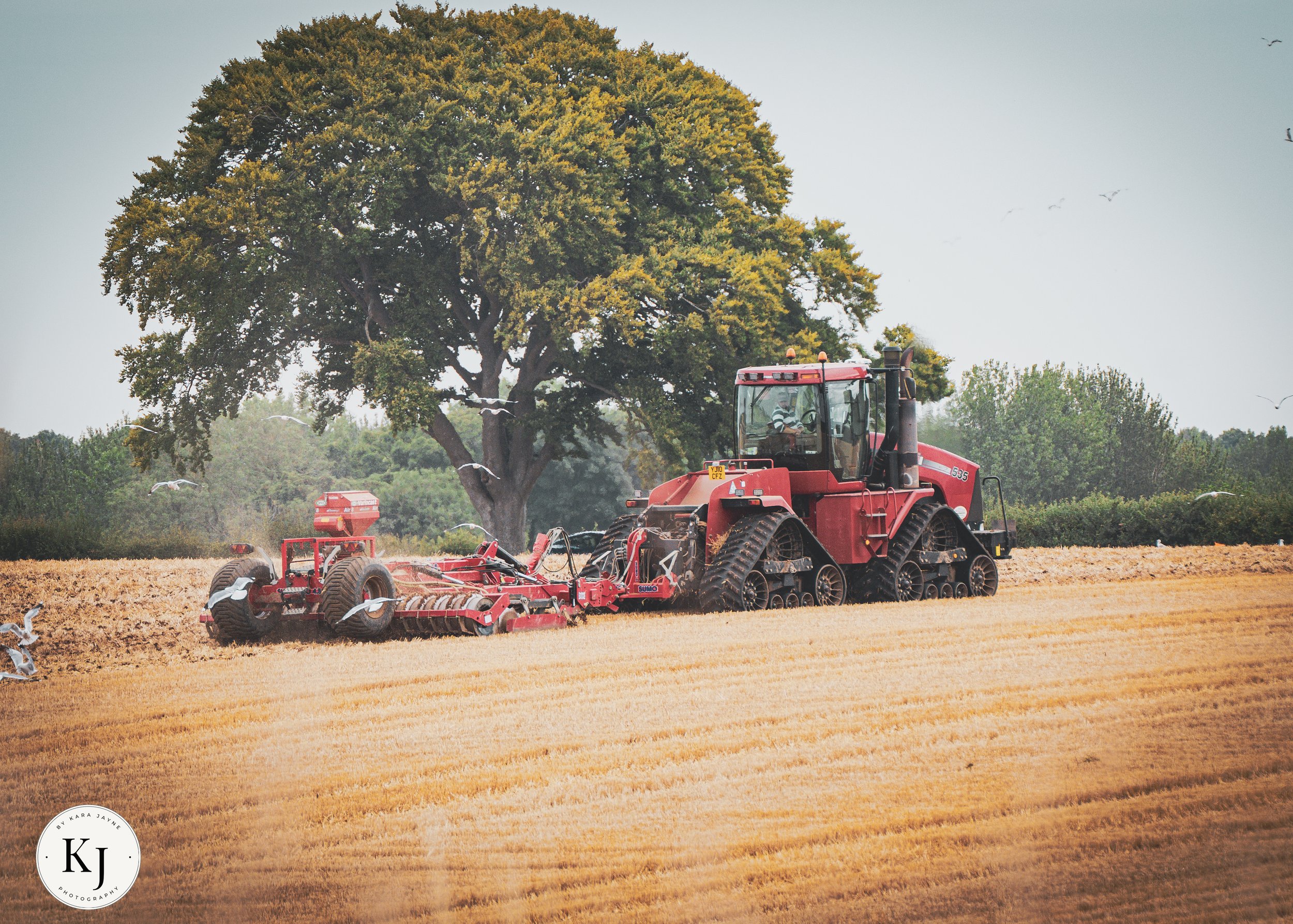A large tree with yellow and green leaves in the background, and a red tractor with farming equipment in the foreground on a field, with birds flying in the sky.