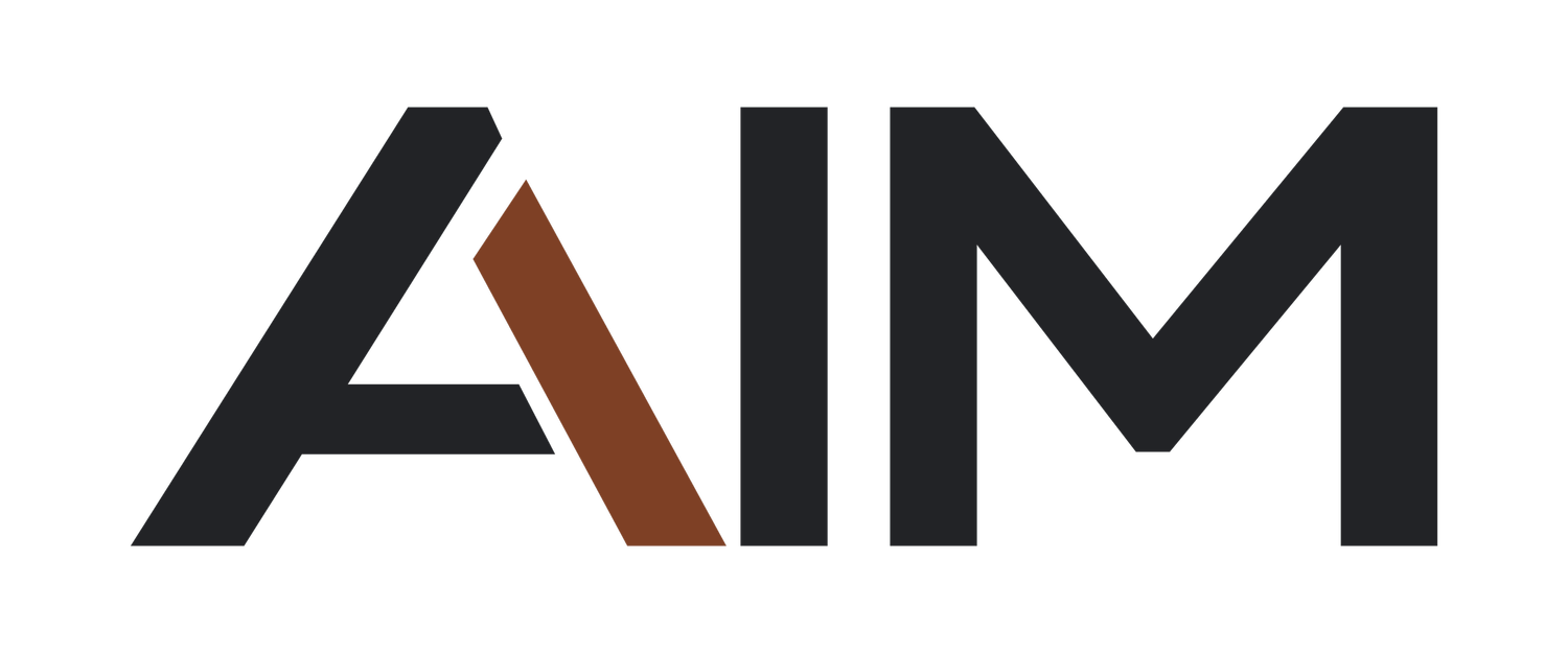 Advancing Inclusive Mobility