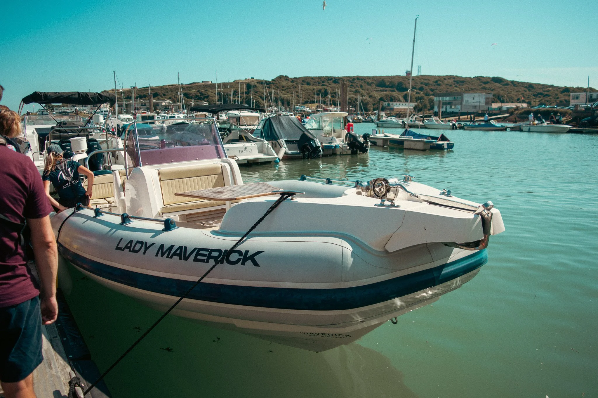 The image shows a marina filled with various boats docked at the harbor on a sunny day. There are calm water and several people near the boats. In the background, there are hills with houses and a few seagulls flying in the sky.