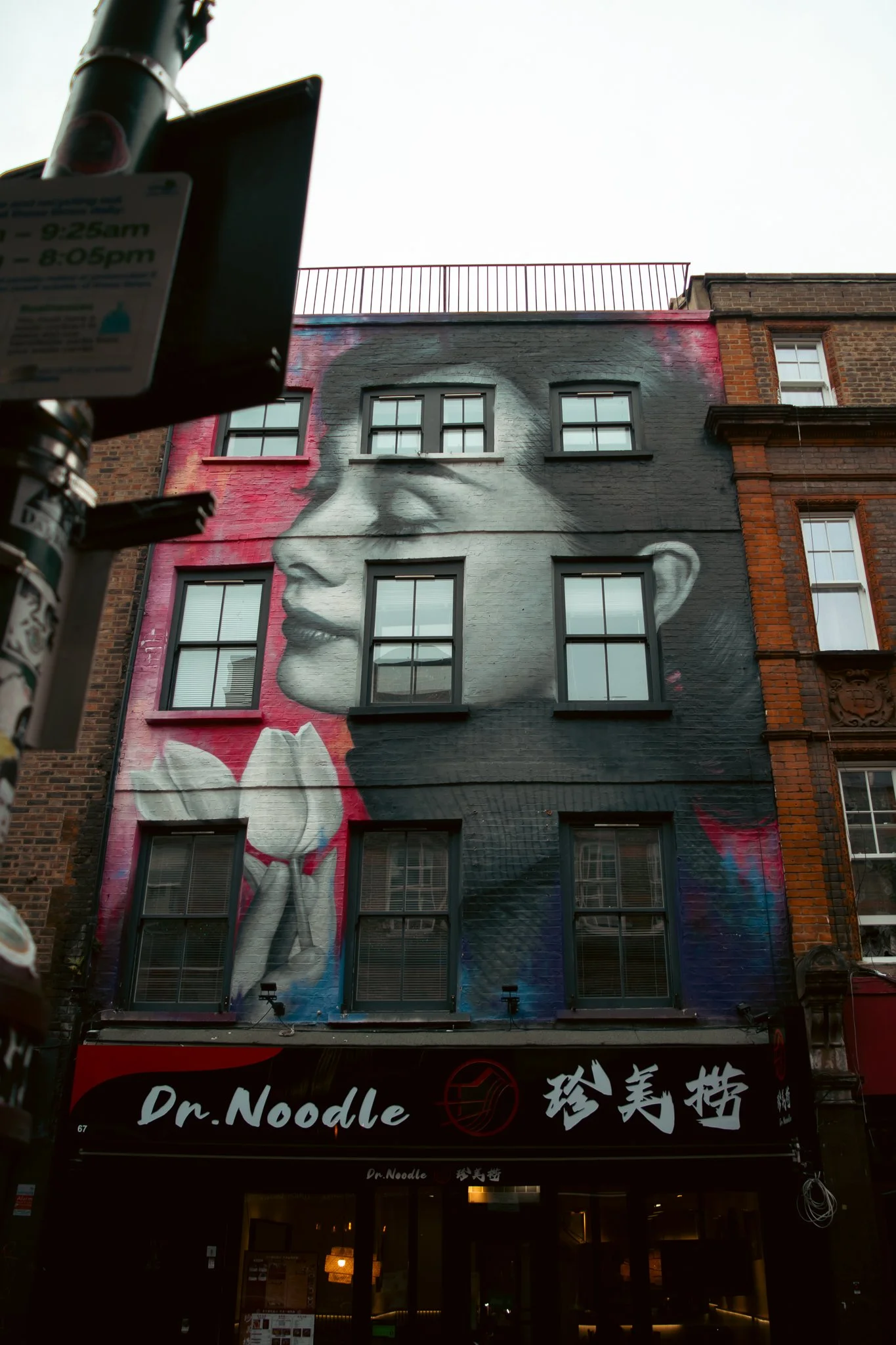 A mural of a woman with glasses painted on the side of a building with large windows. The lower part of the image shows a storefront with a sign reading 'Dr. Noodle' and some Chinese characters.