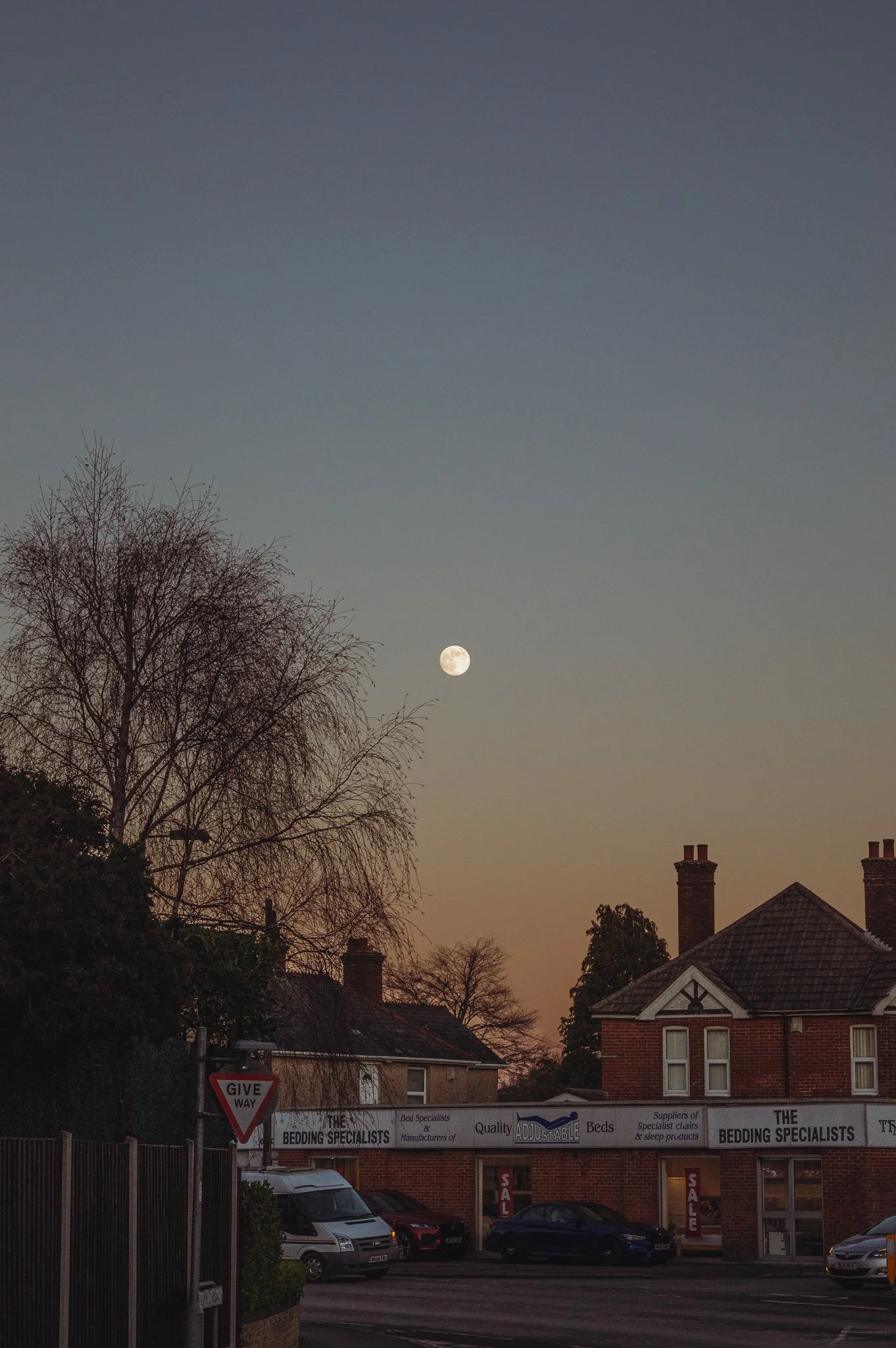 Nighttime scene of a residential area with cars parked in a lot, a large tree without leaves in the foreground, a moon in the sky, and a storefront advertising bedding and sleep products.