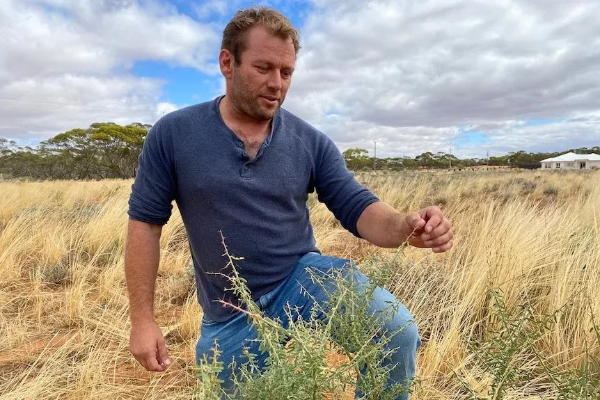 Aboriginal farmer sees native bush food as pathway to connect with troubled youth | ABC News