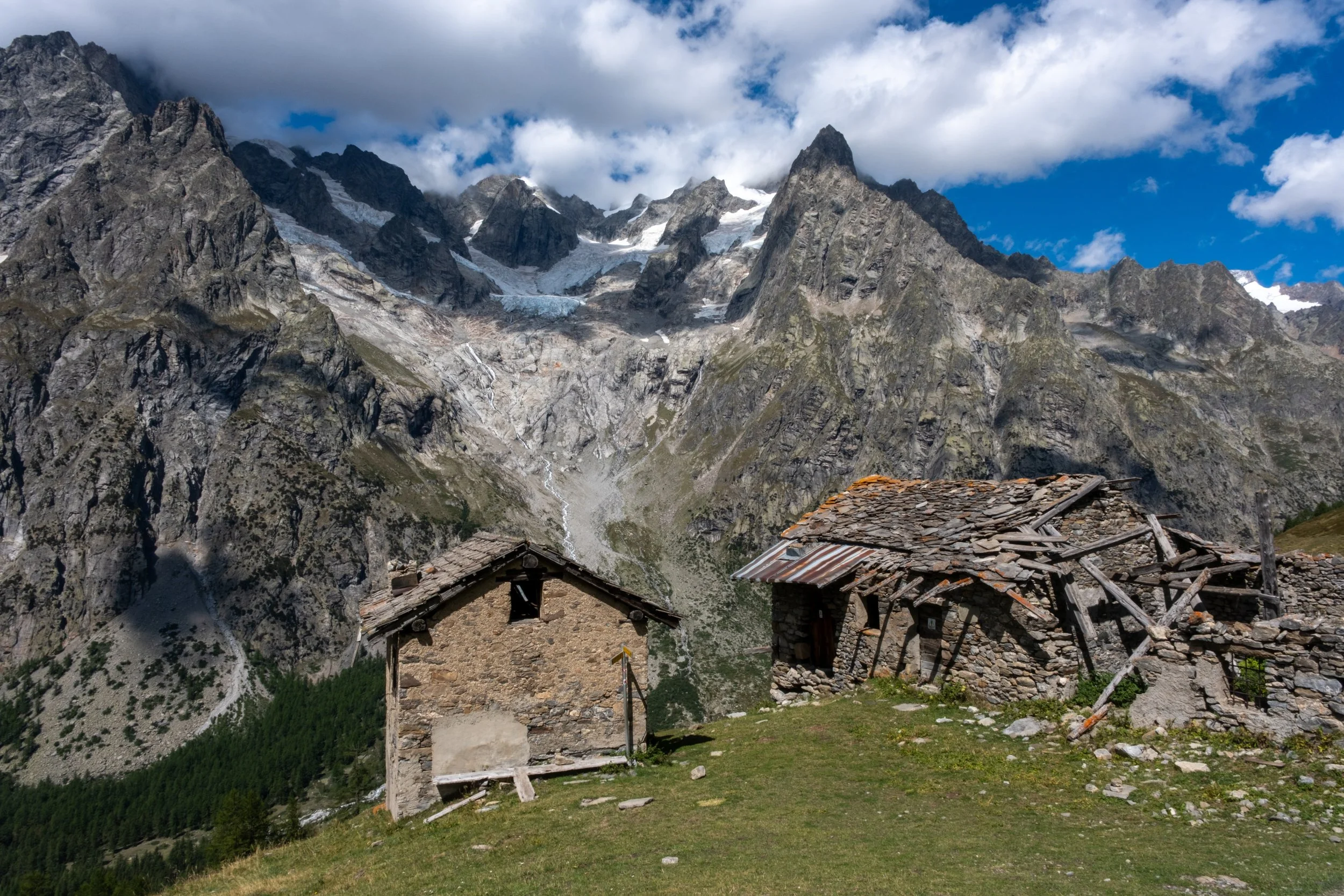 DSCF1231.JPG