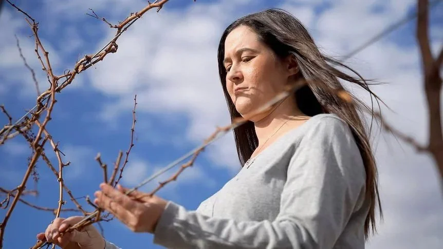SA winegrape growers in drought 'at breaking point' | ABC Stateline