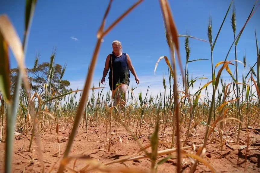 Regional women helping keep drought-affected communities together | ABC Stateline