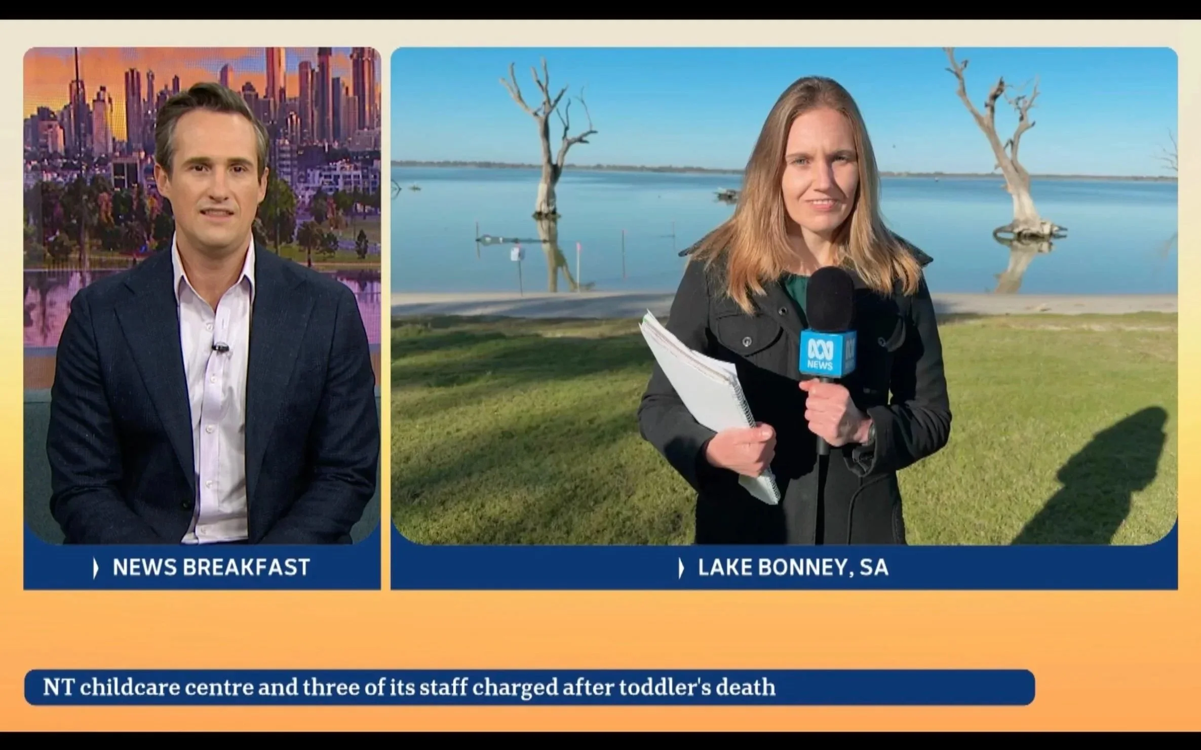 Environmental experts, detection dogs team up to protect native freshwater turtles | ABC News Breakfast