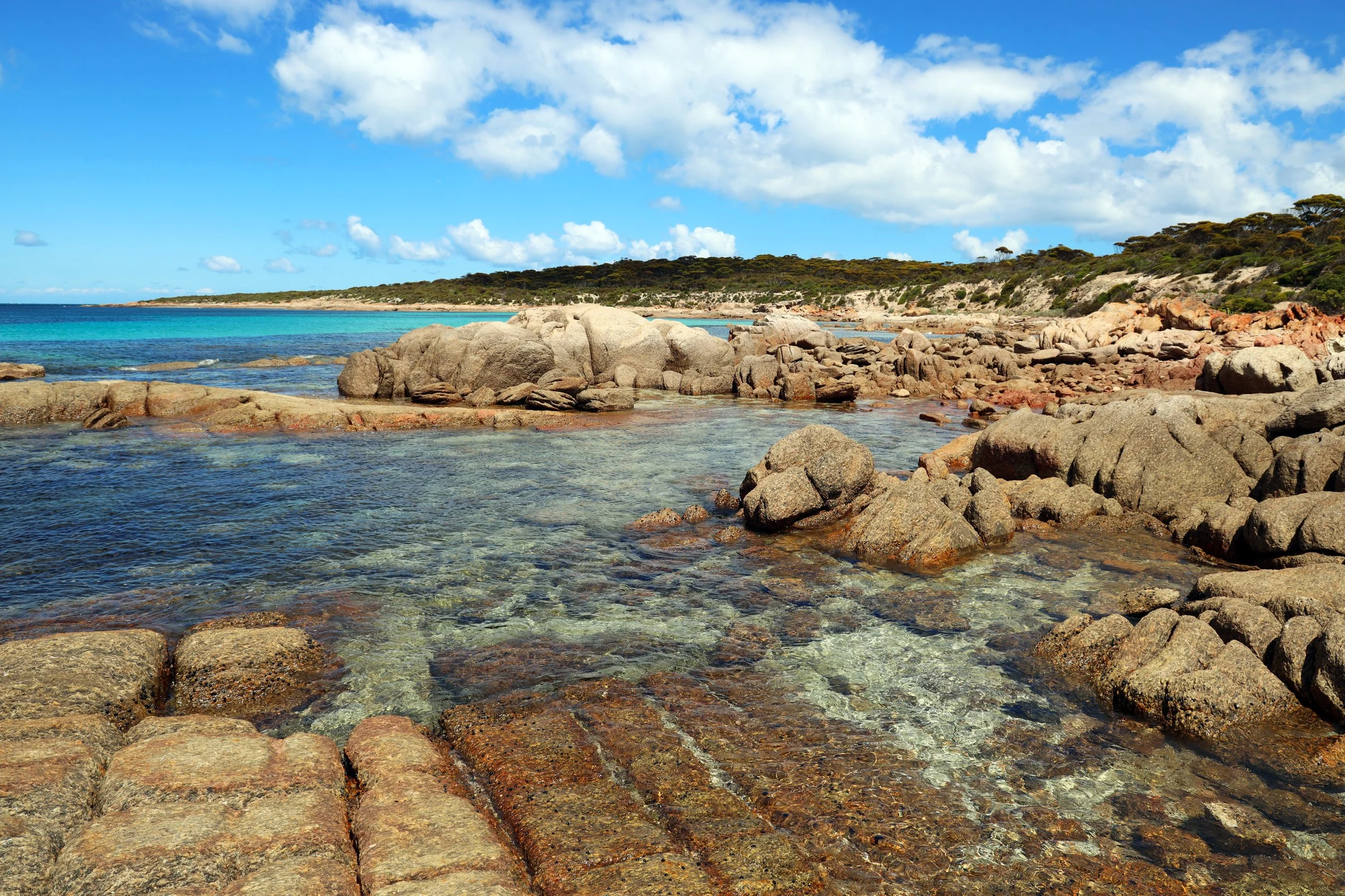 0U4A0422-new.jpg