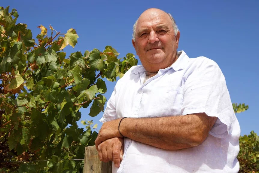 Wine producers pushed to brink | PM