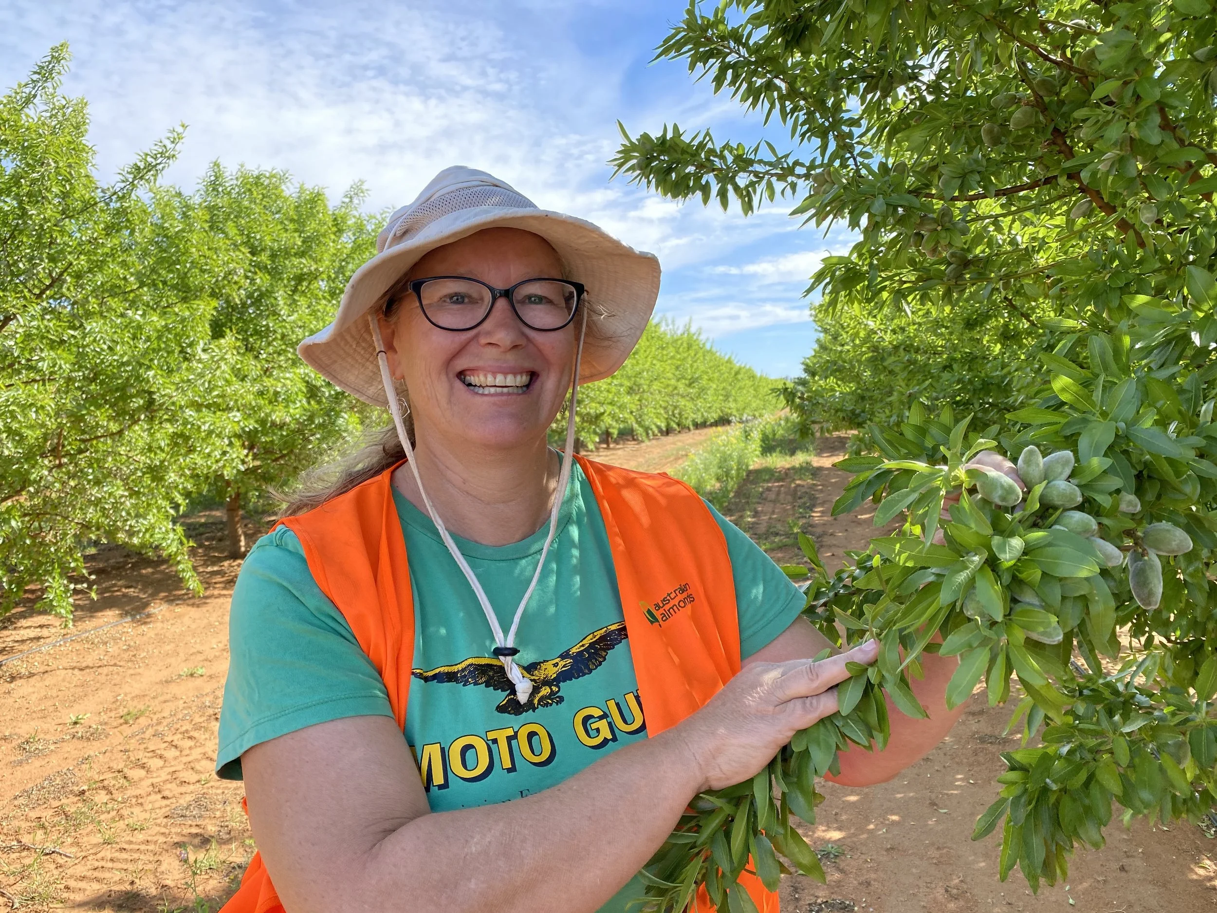Can the almond industry reduce its environmental footprint with these new trees? | ABC News
