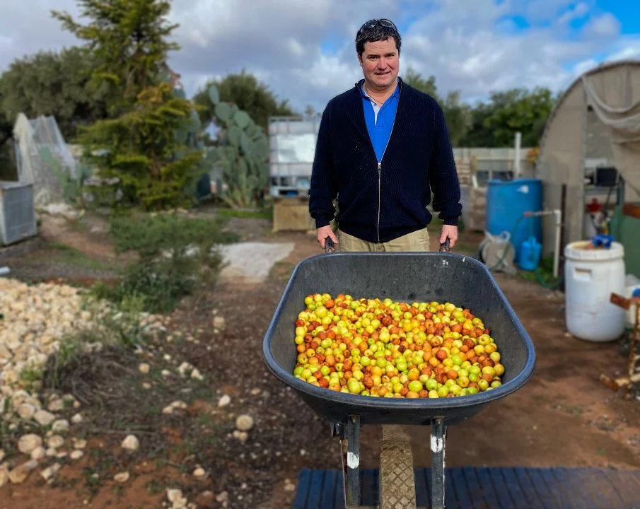 Jujube we do: Turning waste fruit into beer | ABC Landline