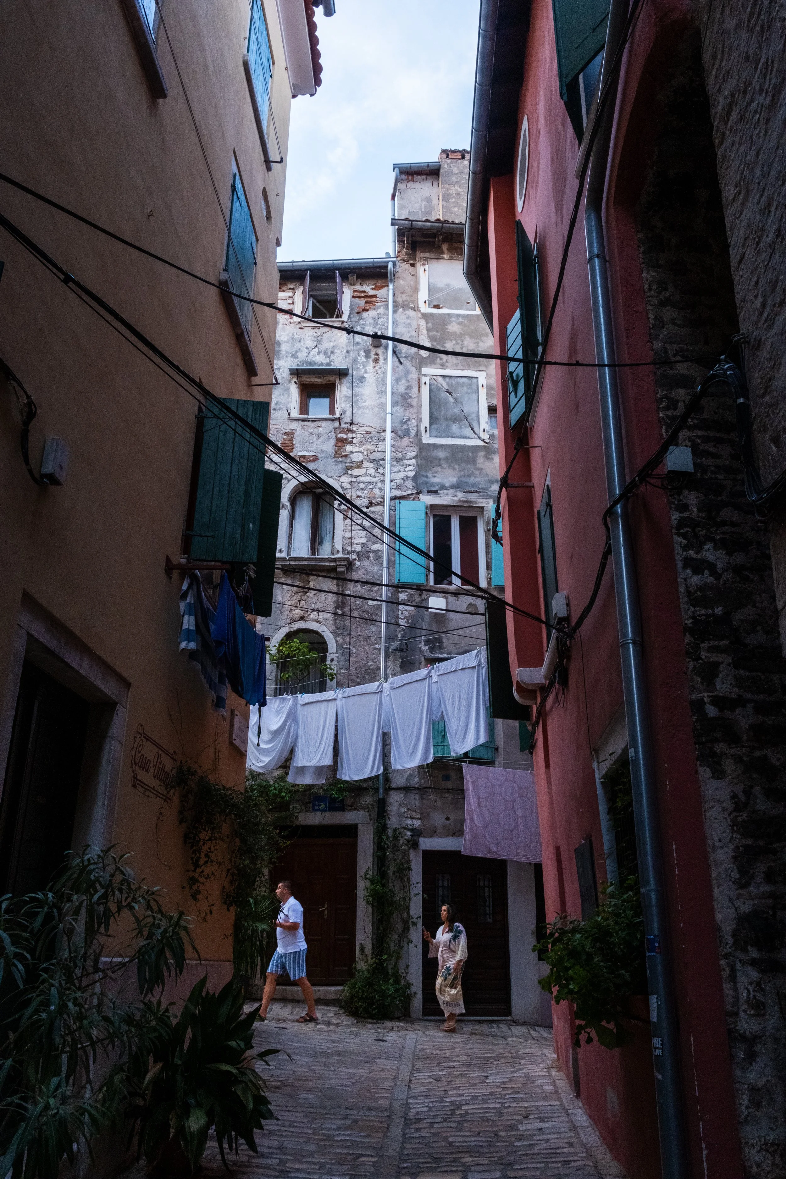 DSCF1037.JPG