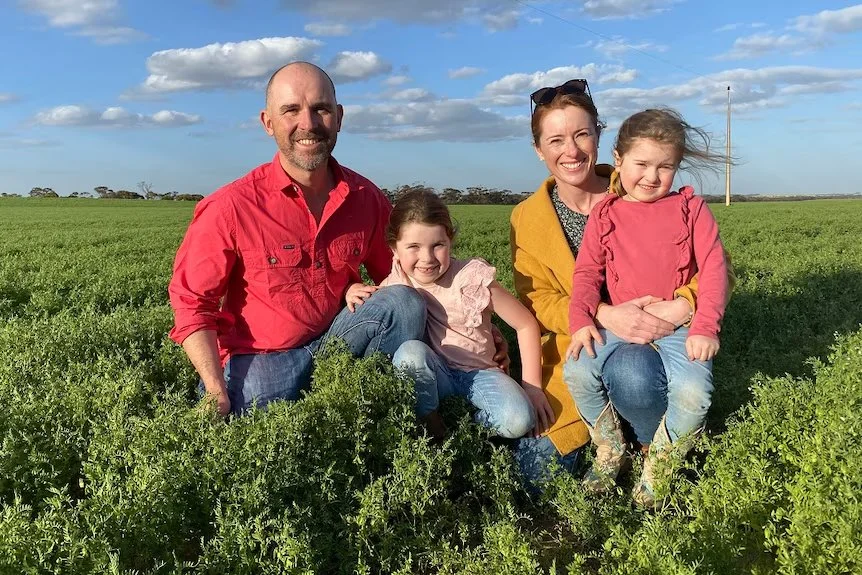Farmers turn weather-damaged lentils for feed into premium flour | ABC Landline