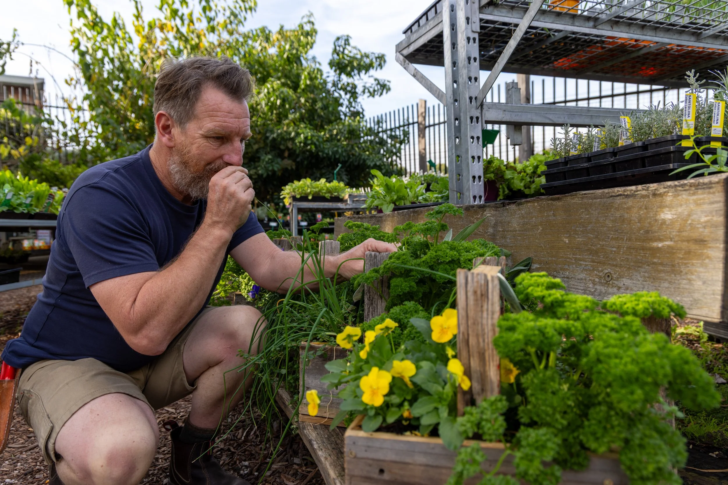 Short on space? These are veggies you can grow indoors and on balconies | ABC Lifestyle