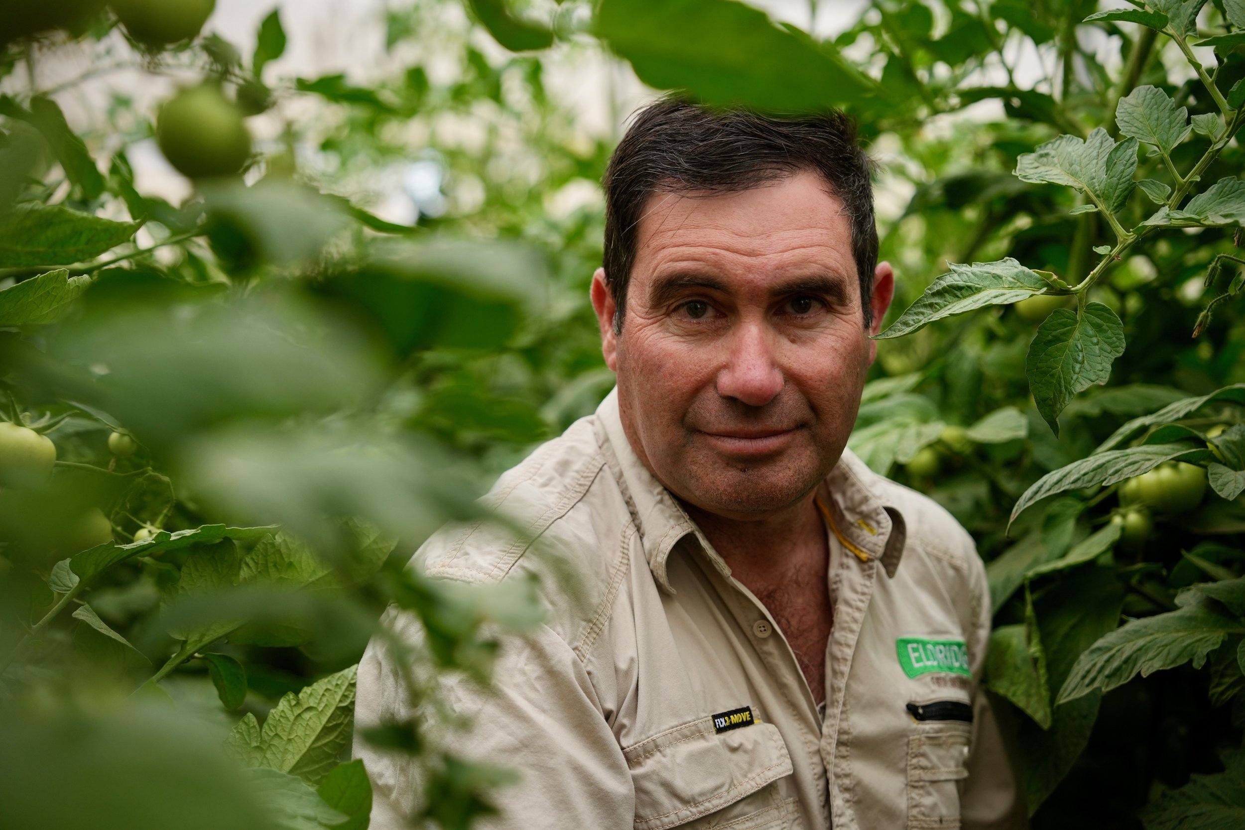 What's labelled organic on Australian shelves could change under a proposed bill | ABC Stateline