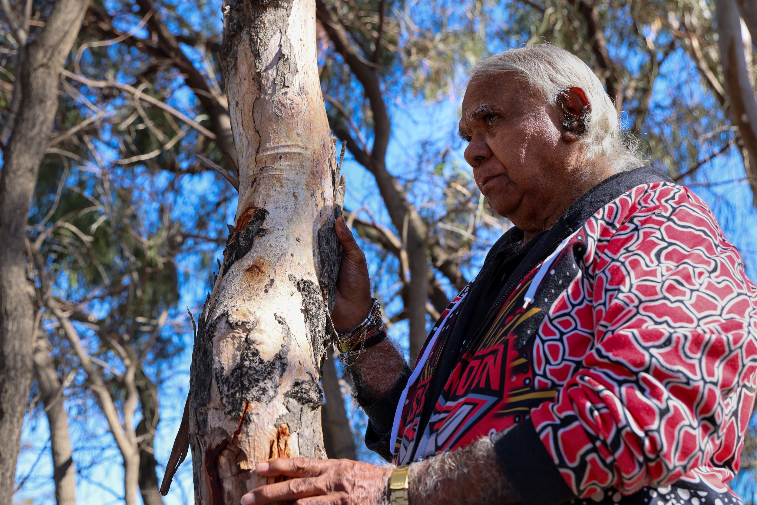 Reviving culture and Ngarrindjeri language for the next generation | ABC This Place