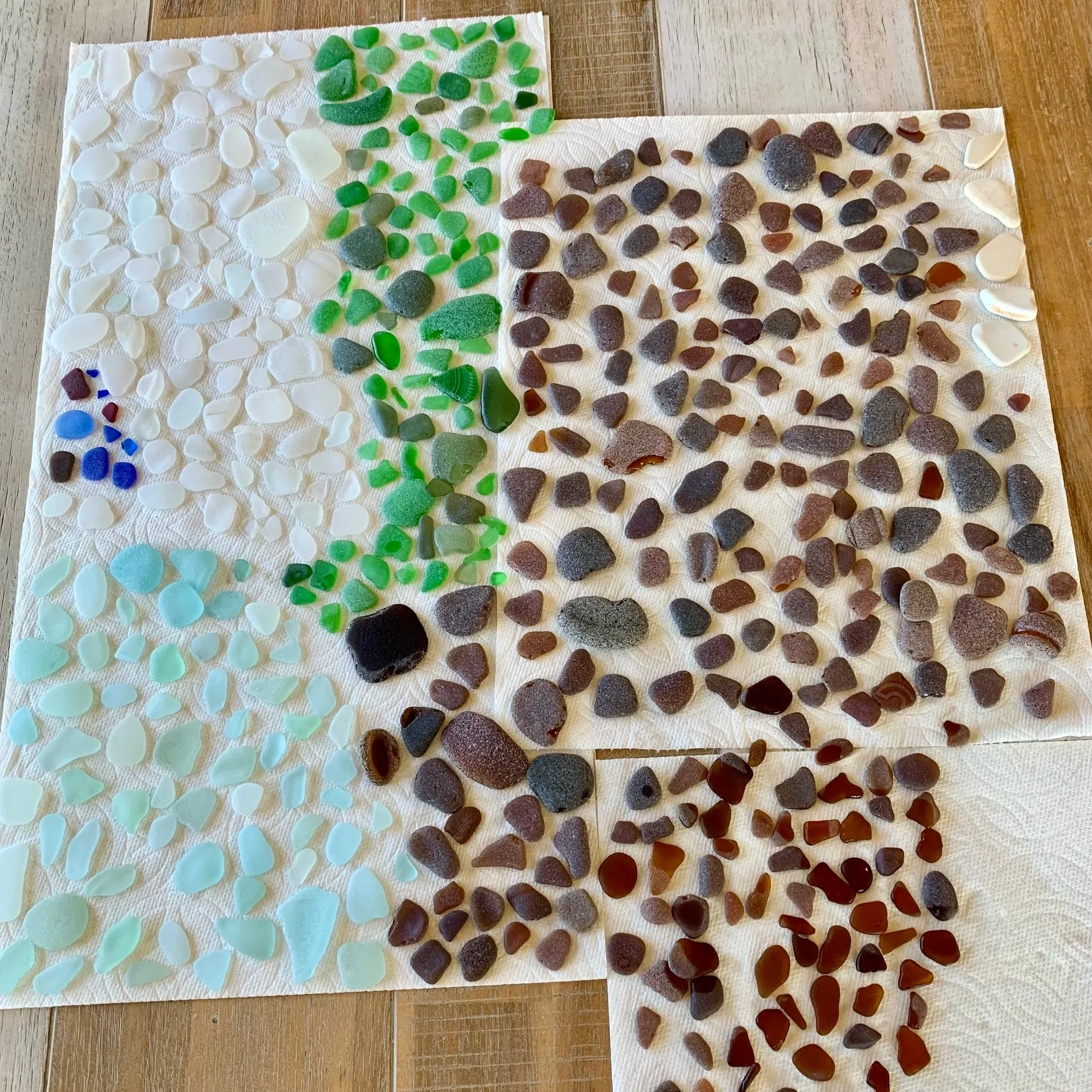 Collection of various sea glass pieces arranged on white paper towels on a wooden table, sorted by color, including white, green, brown, blue, and amber.