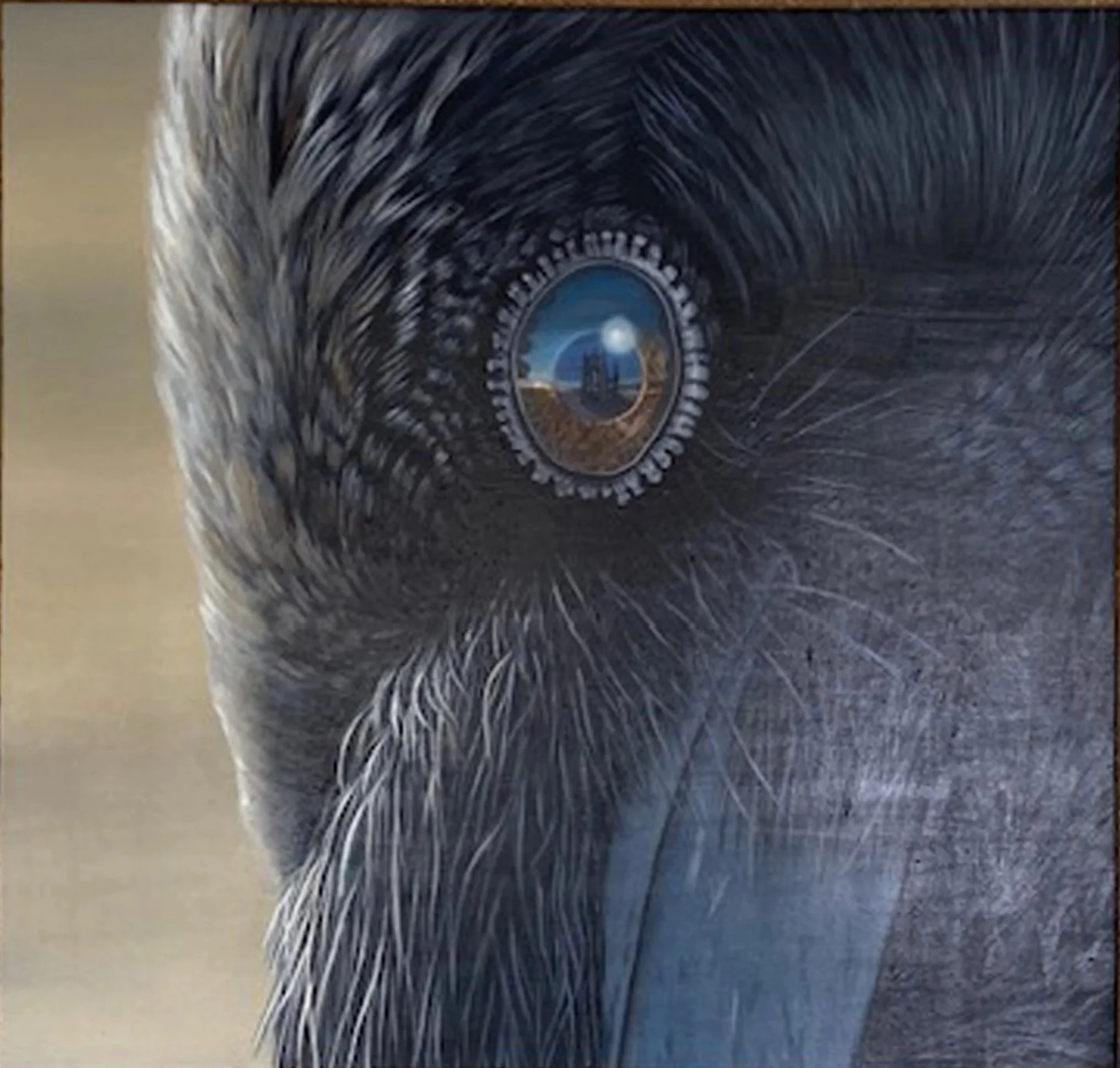 THE EYE OF THE RAVEN ( CASTLE )