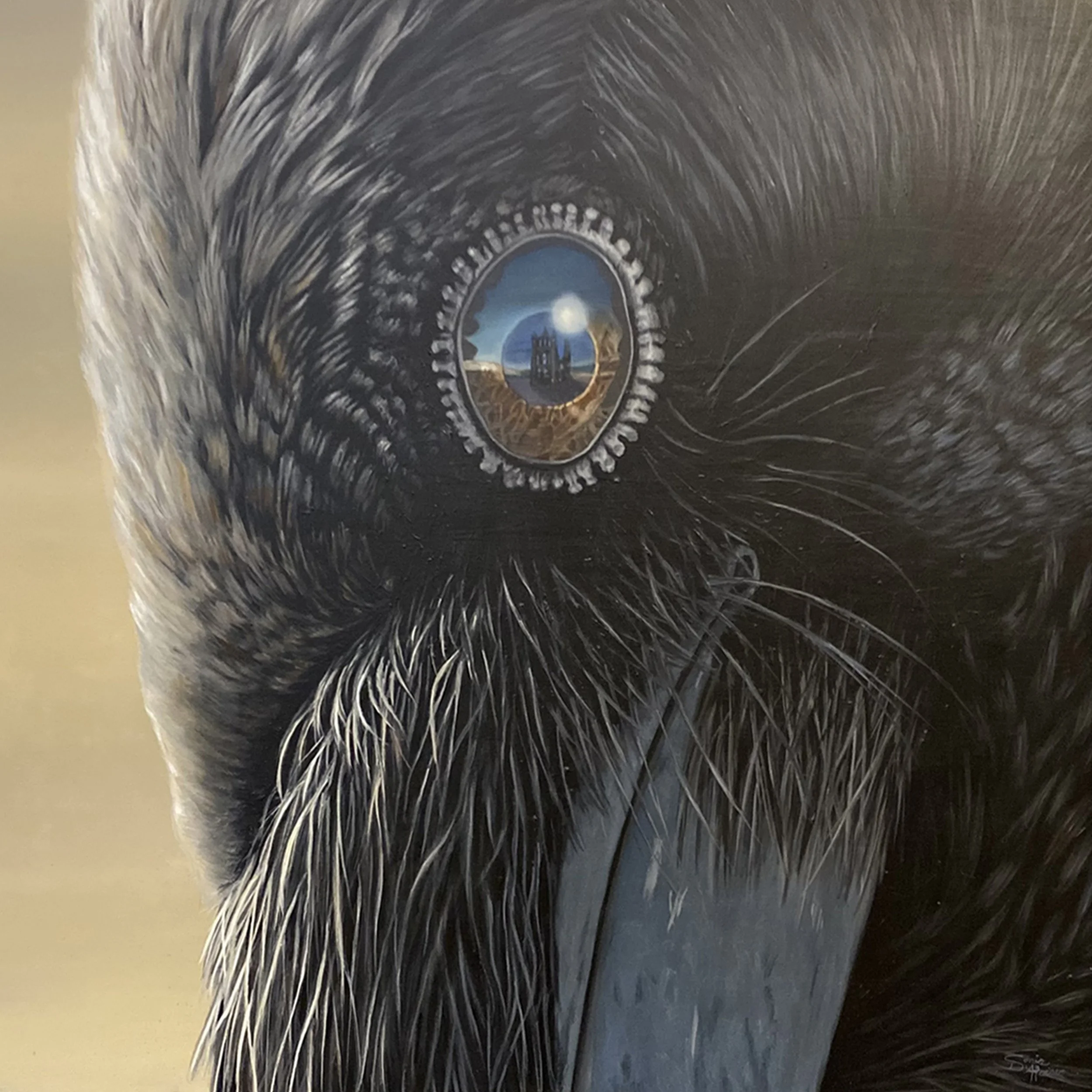 eye of raven 10 x 10.jpg