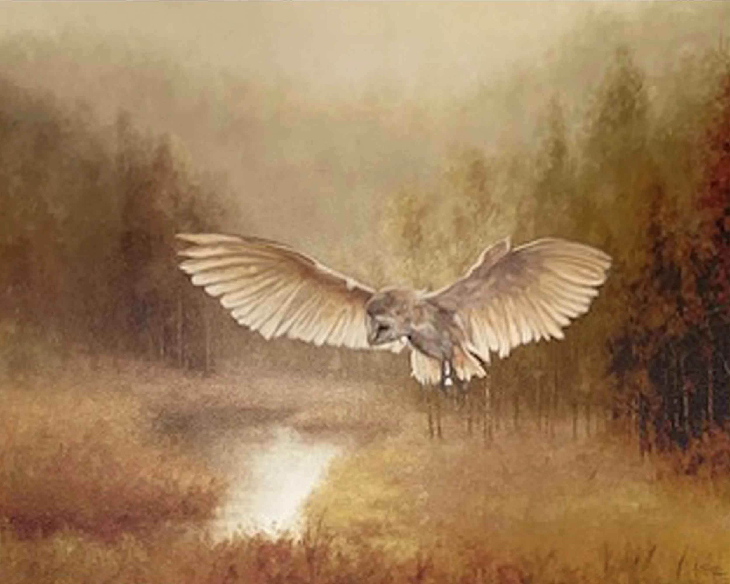 misty owl 8x10.jpg