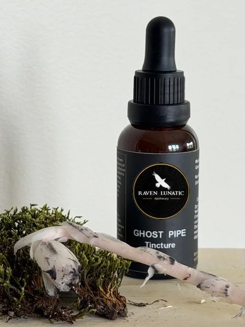 GHOST PIPE TINCTURE
