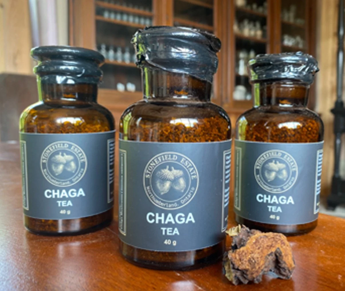 CHAGA MUSHROOM TEA