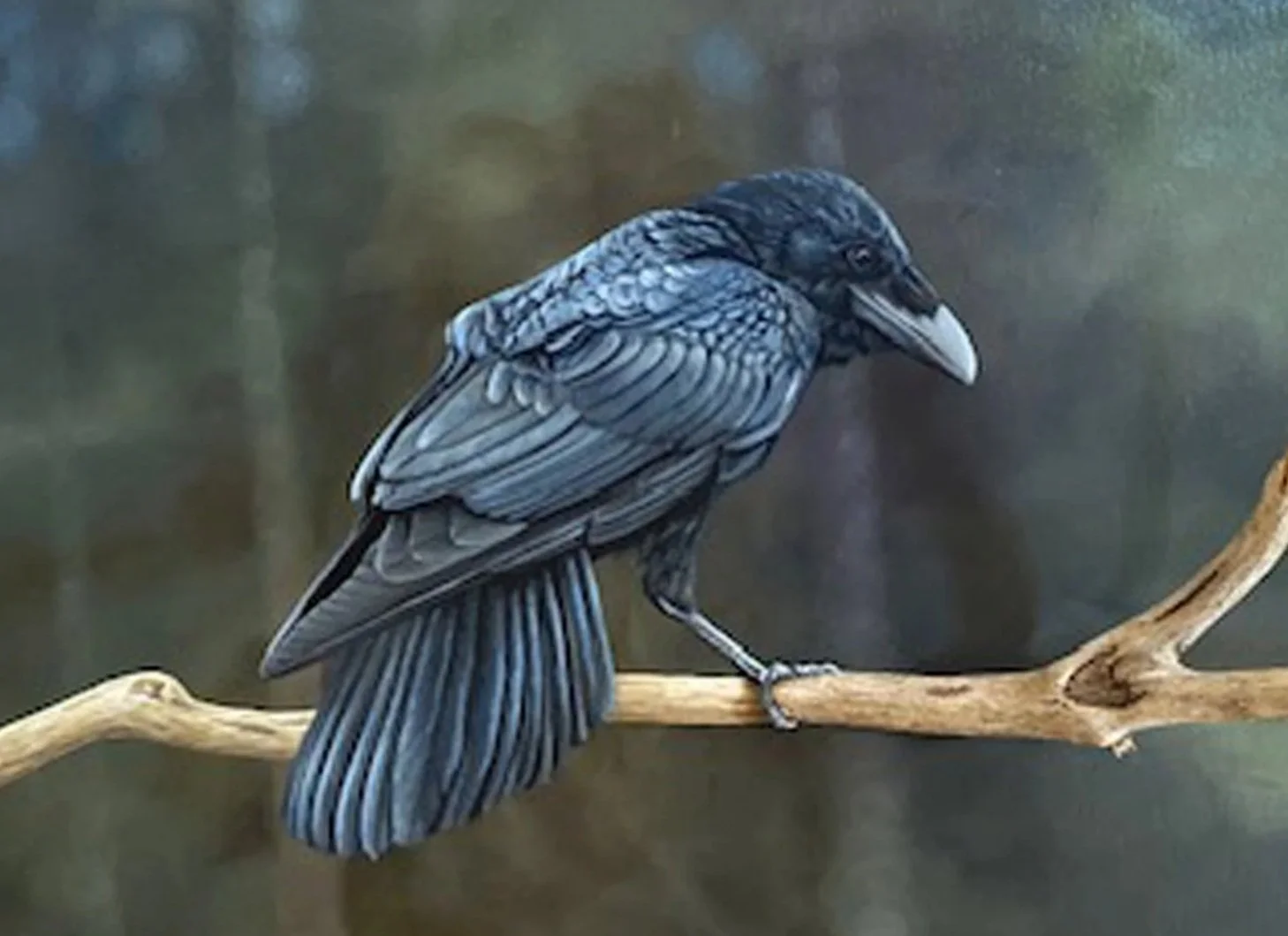 RAVEN ON HIS BRANCH - SOLD