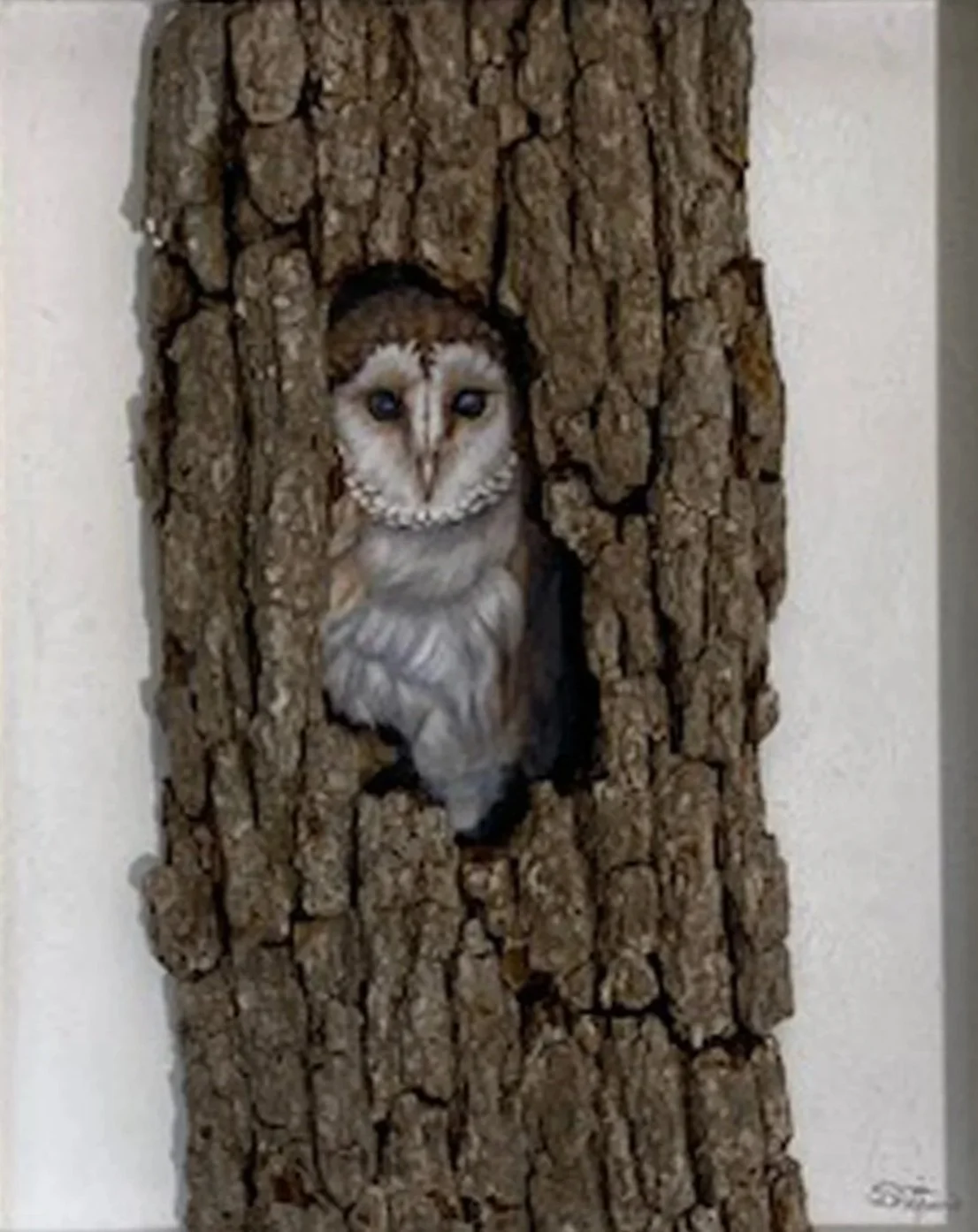 BARN OWL IN OAK TREE- SOLD