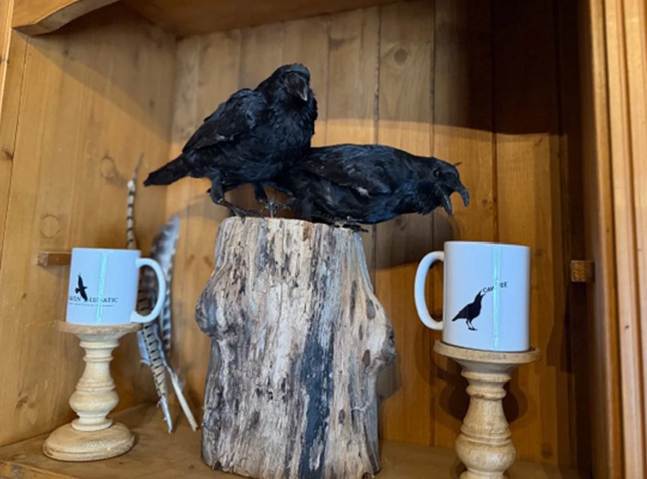 apoth crow.jpg