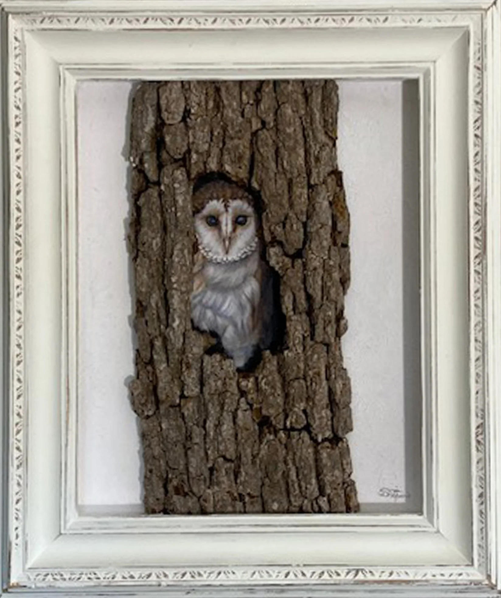 barn owl in oak tree.jpg