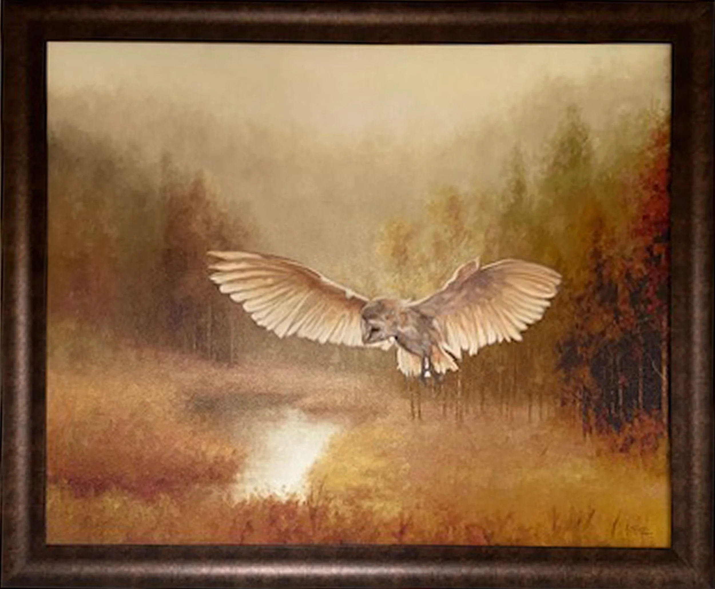 misty morning owl.jpg
